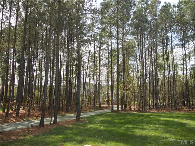 94 Winding Ridge Road Durham, NC 27713 - Photo 12 of 12 a garden with trees in front of it