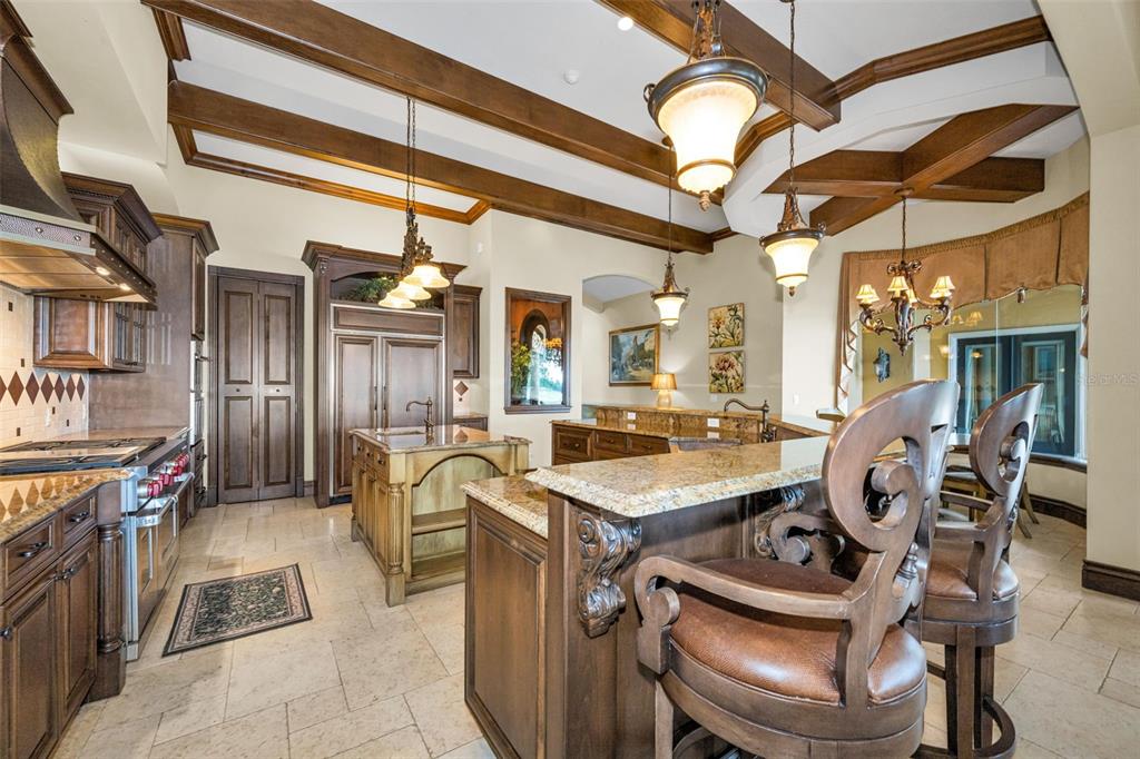 10031 Milano Drive Trinity, FL 34655 - Photo 23 of 100