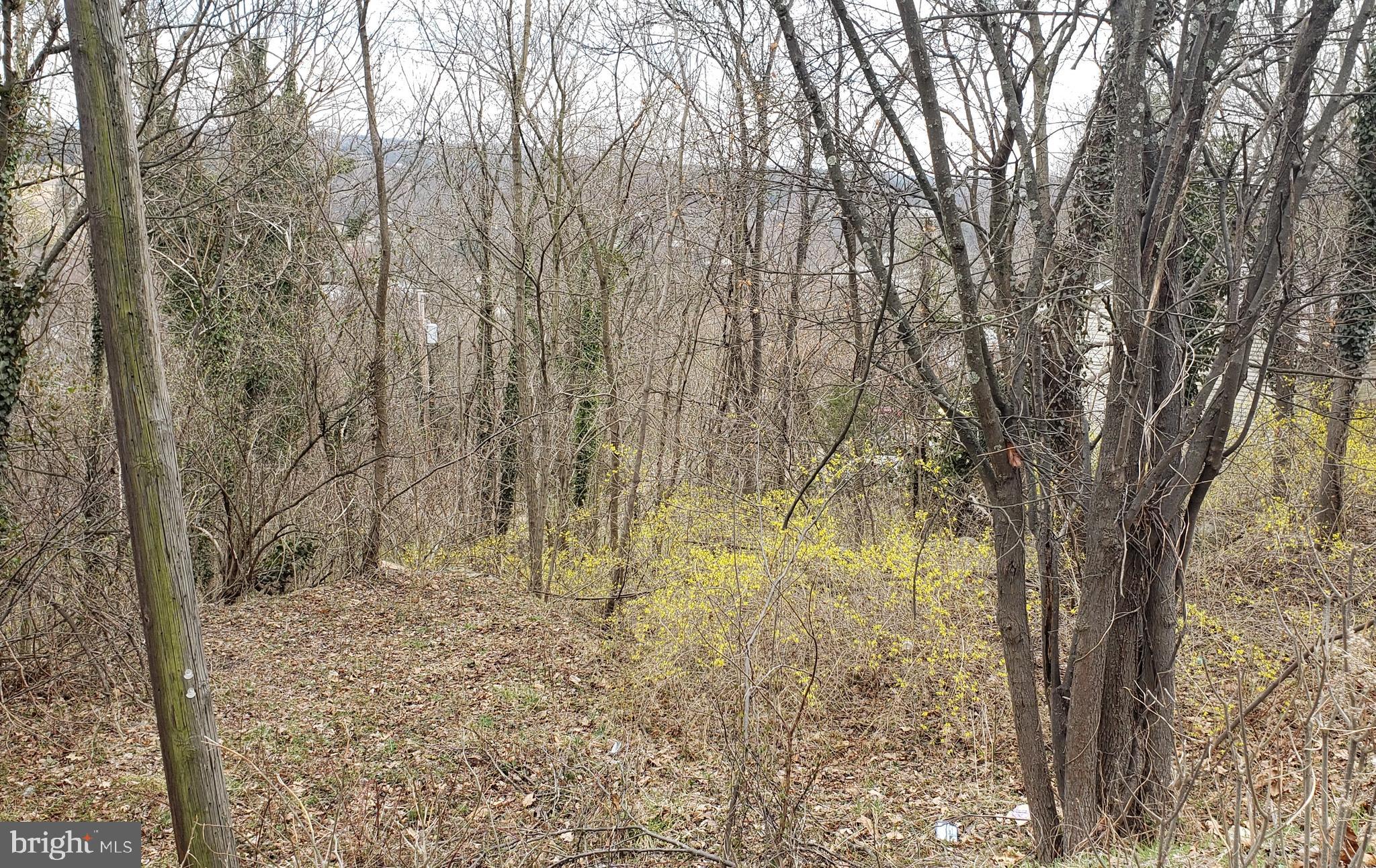 West Cacapon Road Berkeley Springs, WV 25411 - Photo 1 of 14 Gallery Image 1