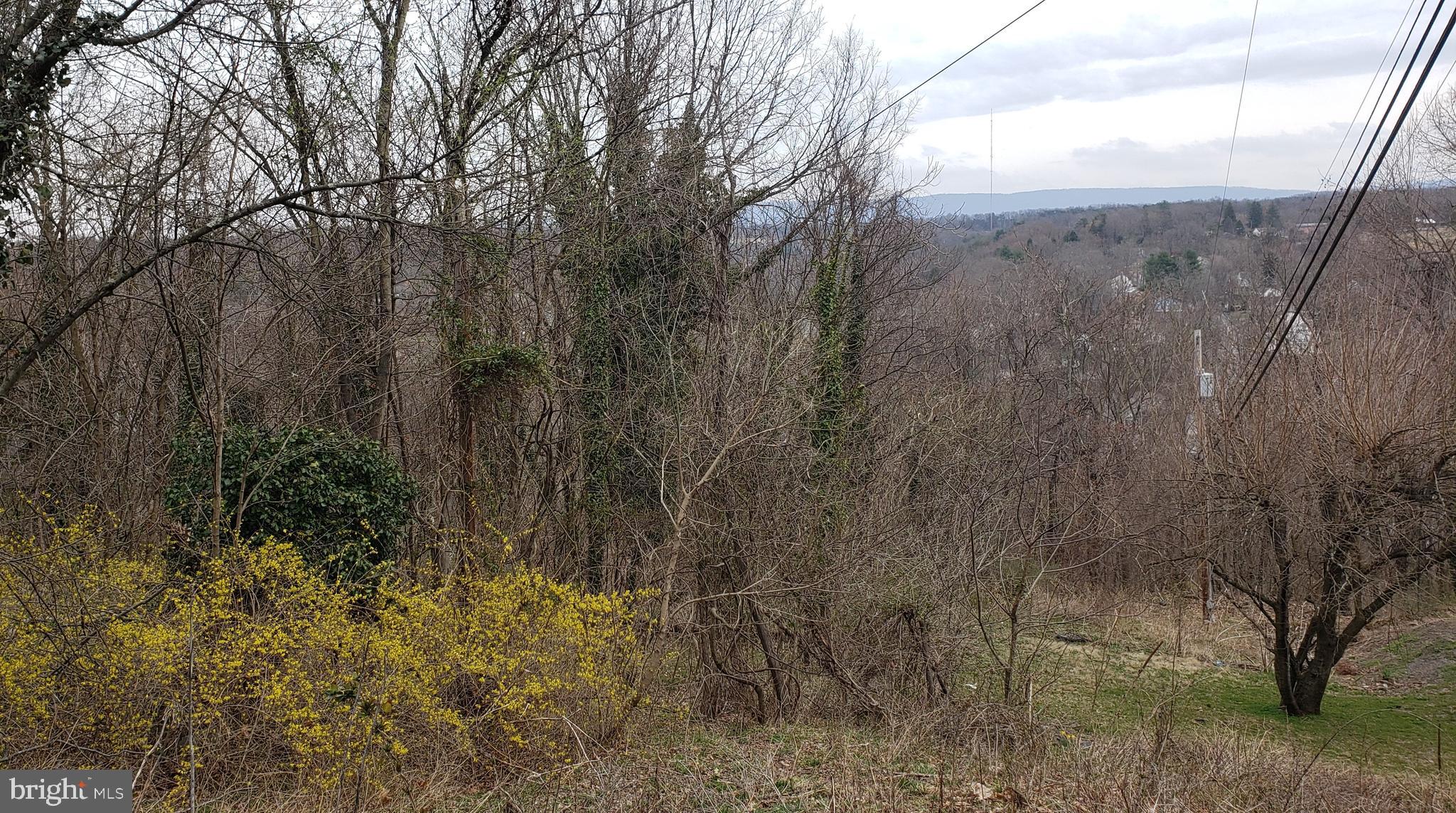 West Cacapon Road Berkeley Springs, WV 25411 - Photo 2 of 14 Gallery Image 2