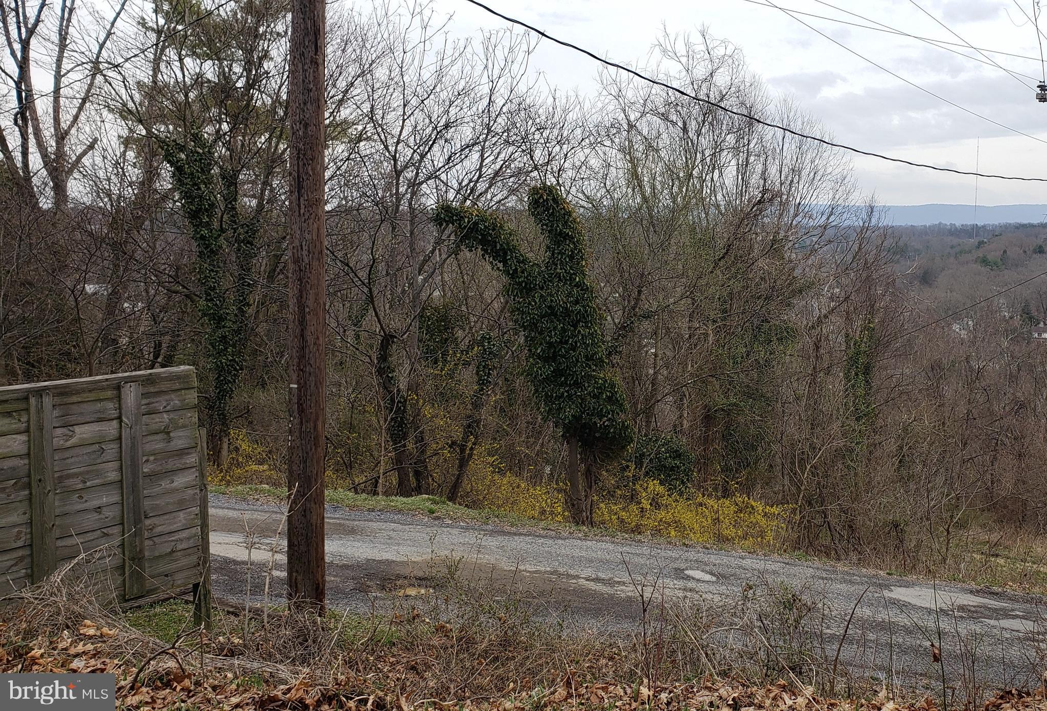 West Cacapon Road Berkeley Springs, WV 25411 - Photo 3 of 14 Gallery Image 3