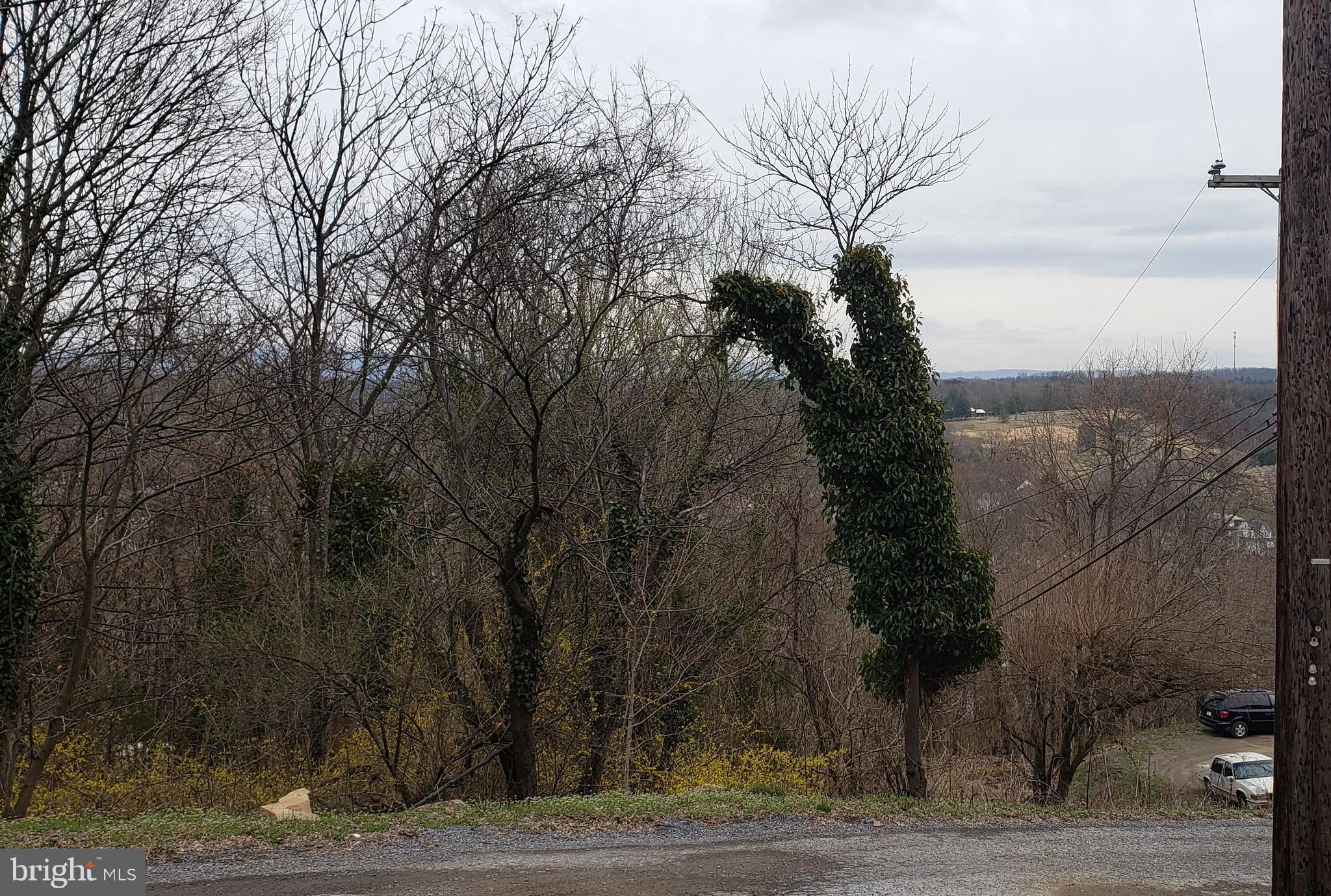 West Cacapon Road Berkeley Springs, WV 25411 - Photo 4 of 14 Gallery Image 4