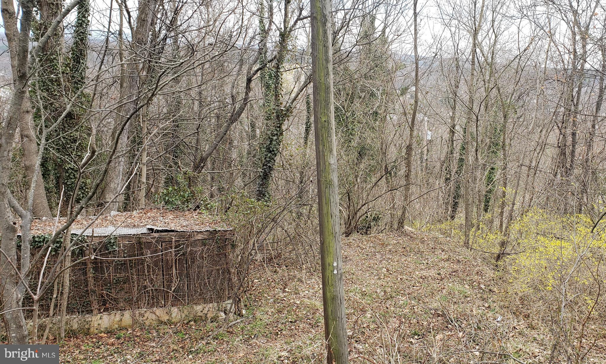 West Cacapon Road Berkeley Springs, WV 25411 - Photo 5 of 14 Gallery Image 5
