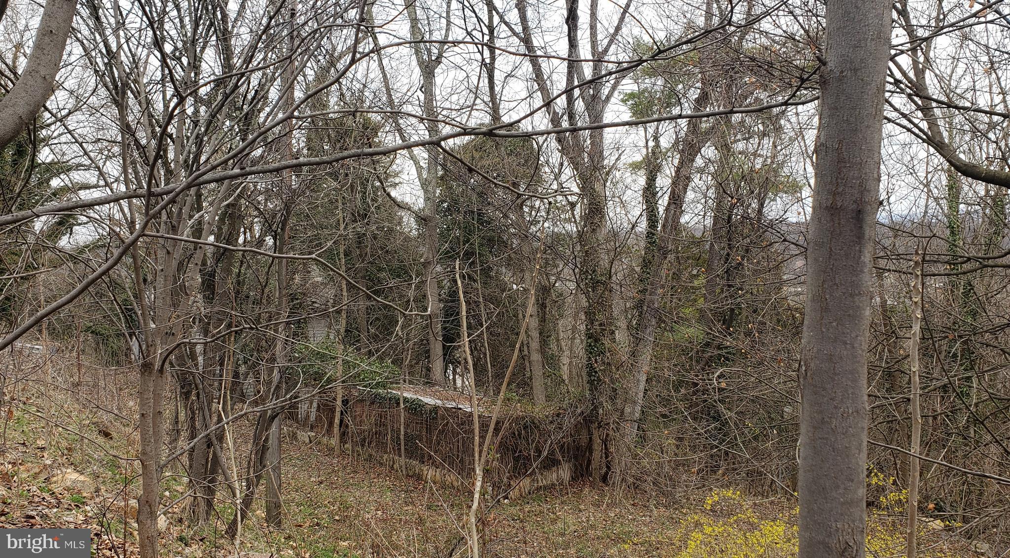 West Cacapon Road Berkeley Springs, WV 25411 - Photo 8 of 14 Gallery Image 8