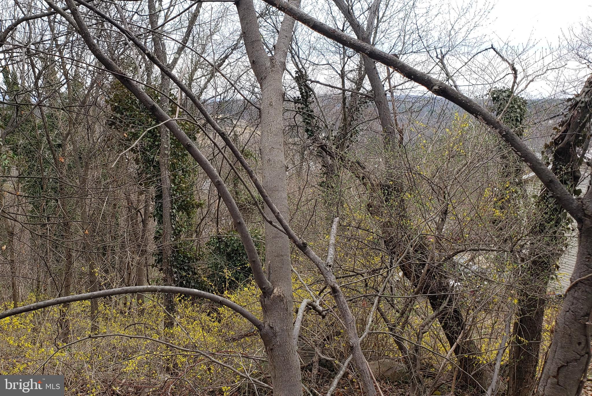 West Cacapon Road Berkeley Springs, WV 25411 - Photo 10 of 14 Gallery Image 10