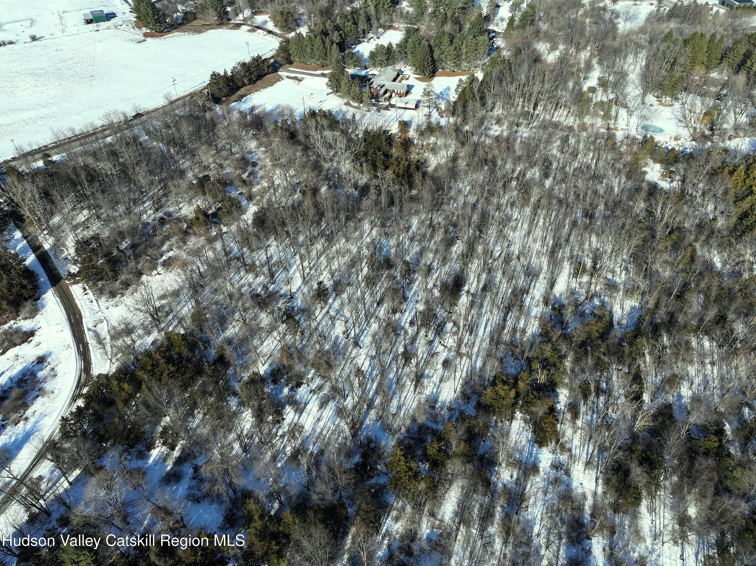 0 Bells Pond Road Hudson, NY 12534 - Photo 11 of 13 a view of a tree in a yard