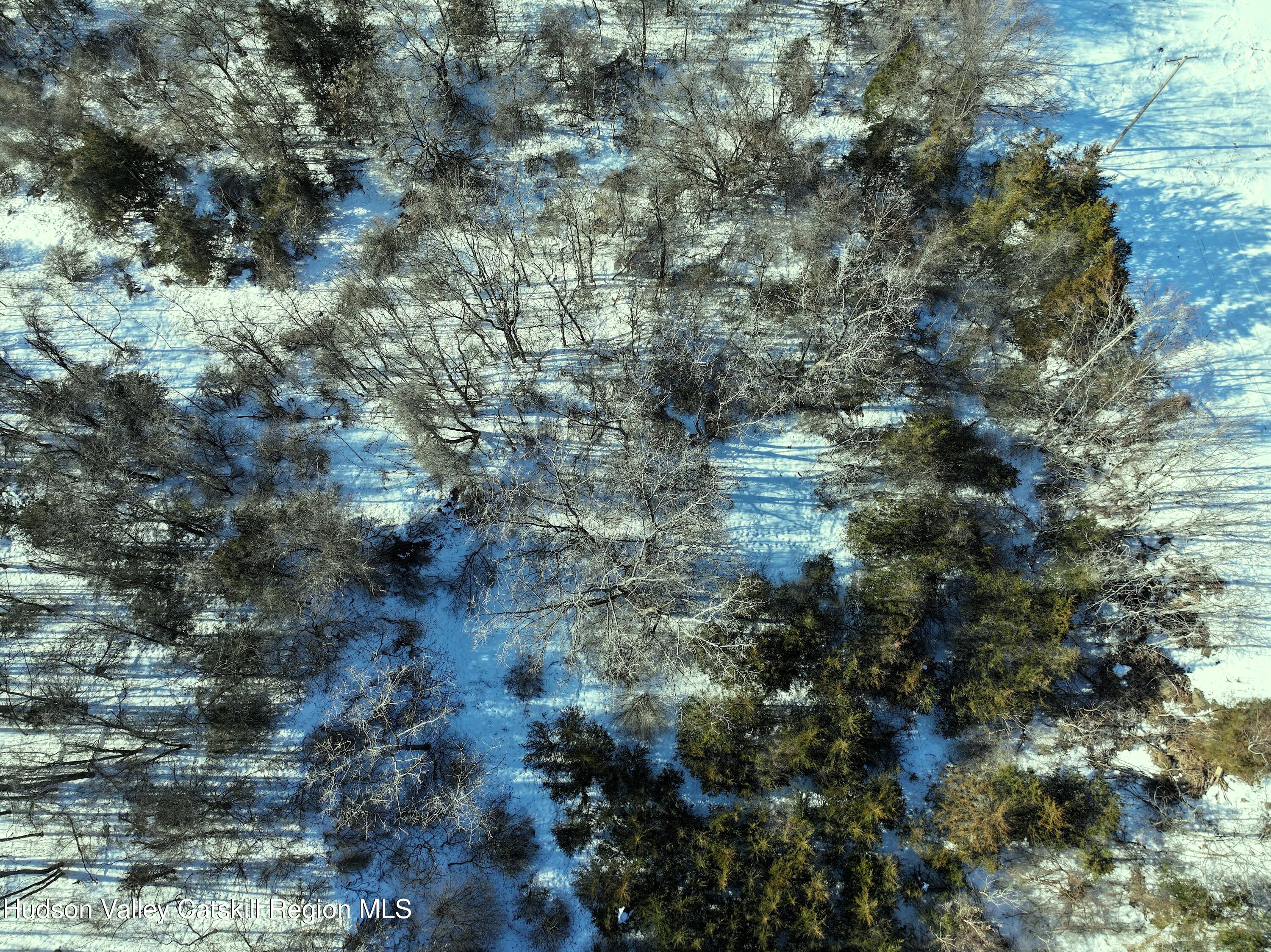 0 Bells Pond Road Hudson, NY 12534 - Photo 12 of 13 a view of a forest with lots of trees