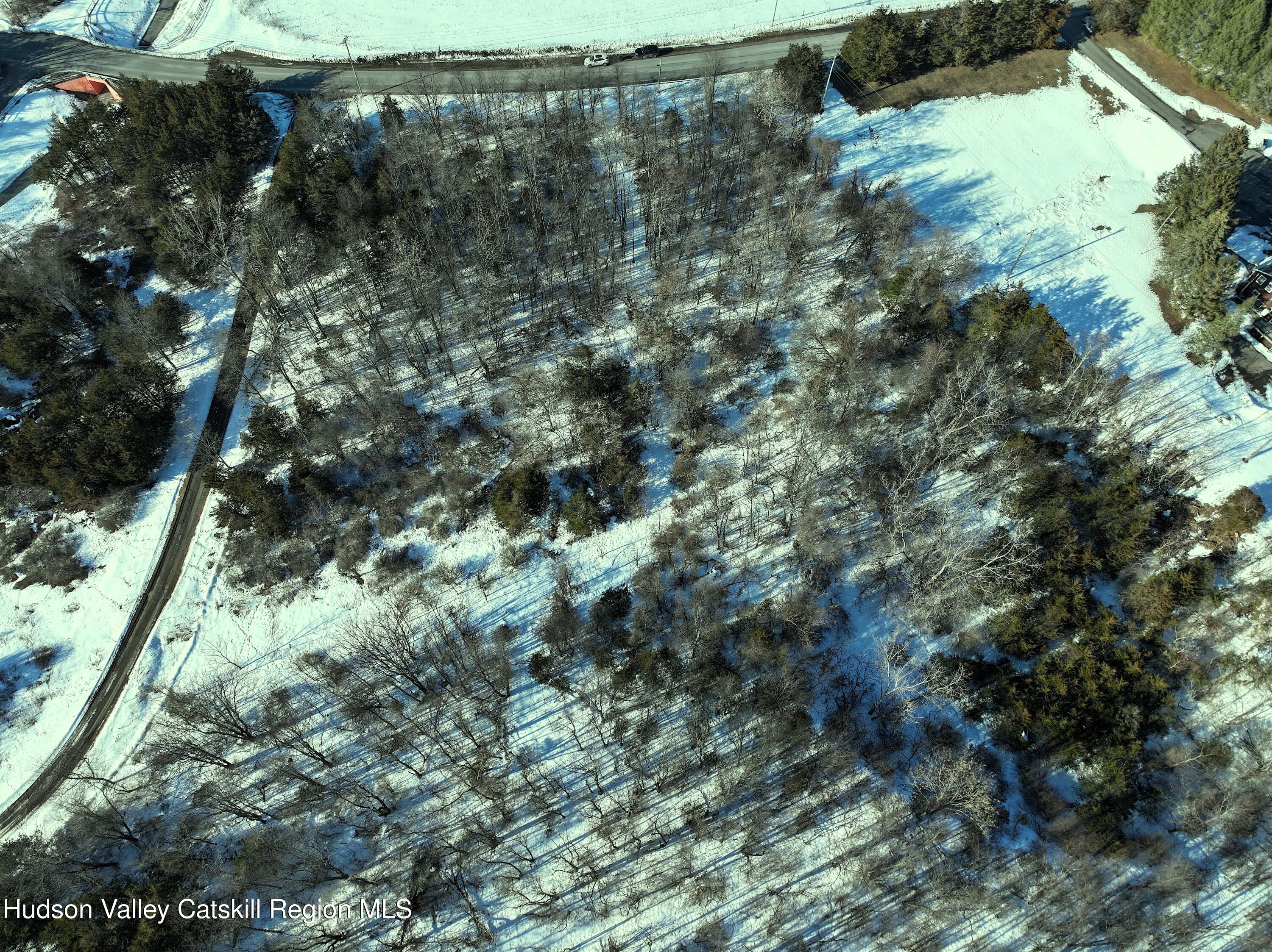 0 Bells Pond Road Hudson, NY 12534 - Photo 8 of 13 a view of a forest with a tree