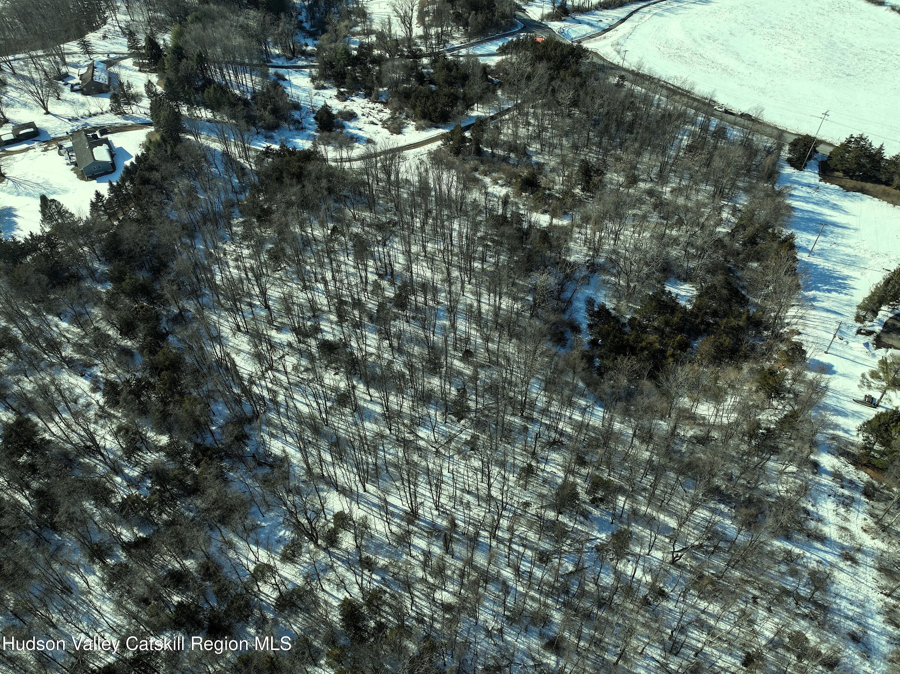 0 Bells Pond Road Hudson, NY 12534 - Photo 9 of 13 a view of a tree