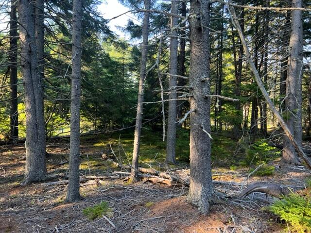 0 Fifield Point Road Stonington, ME 04681 - Photo 8 of 10 shepard 8