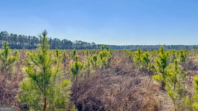 a view of a lake with a mountain in the background