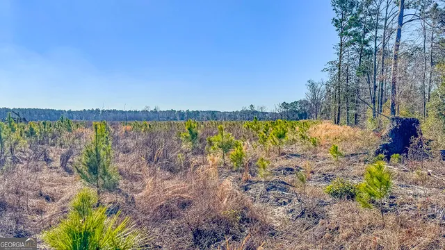 a view of a lake with a city