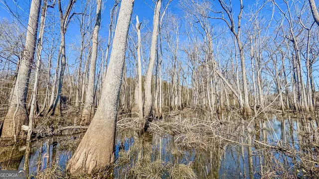 a view of a lake with a mountain