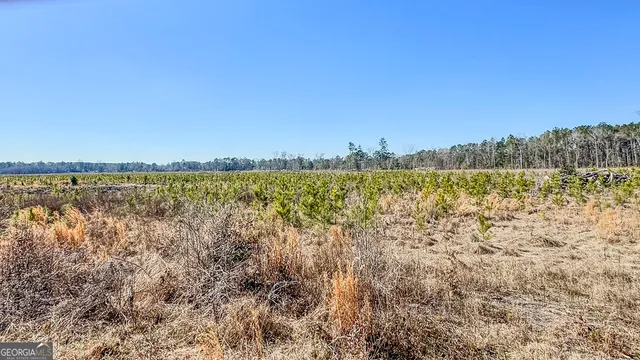 $139,400 | 0 Highway 301, Unit 3, Statesboro, GA 30461