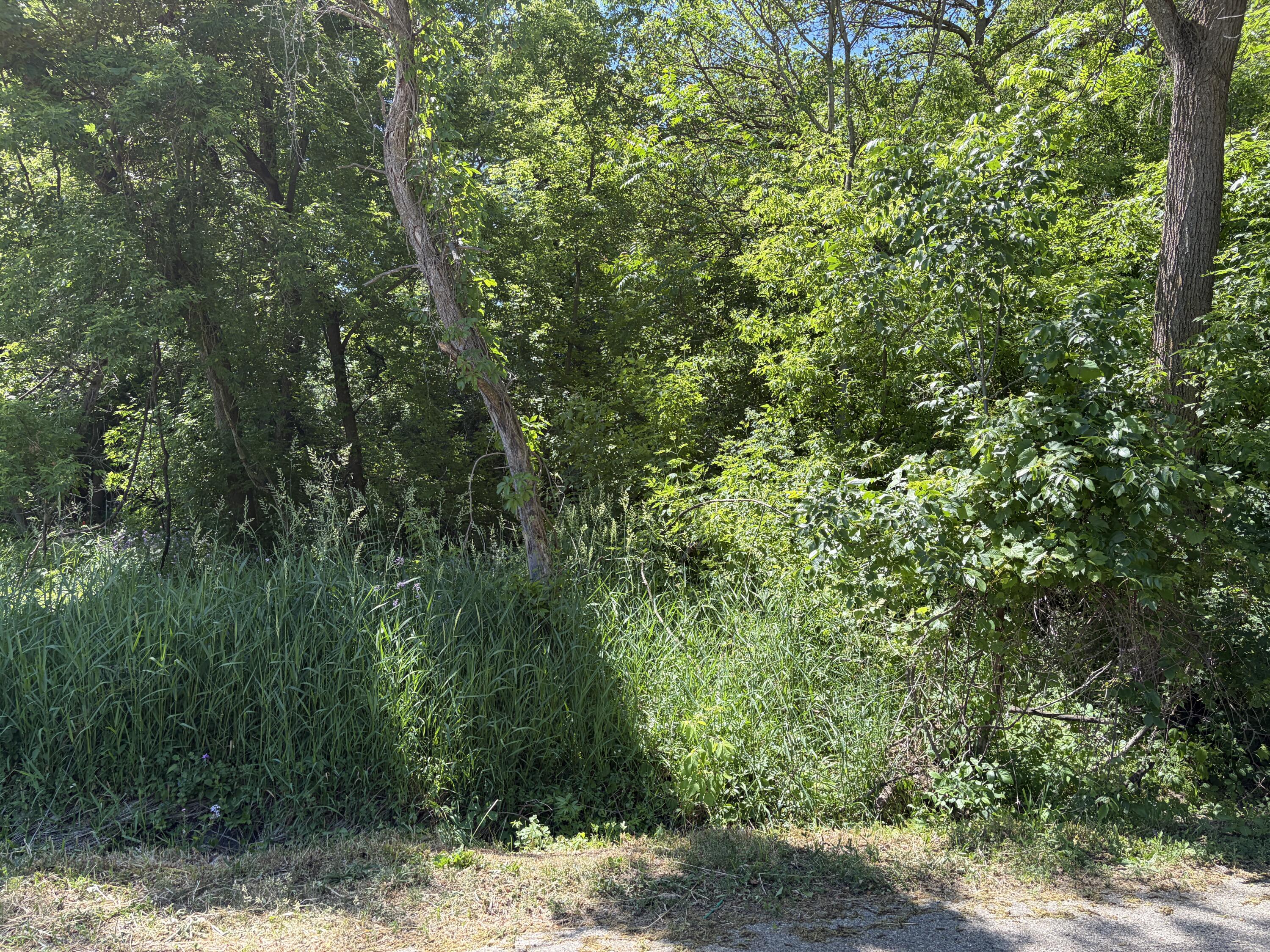 Wooded Lot