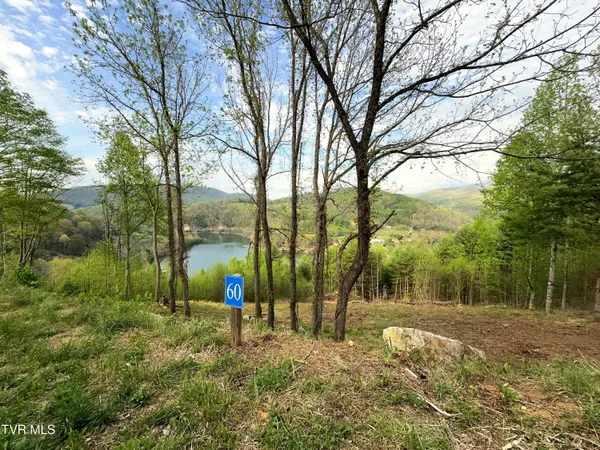 $179,900 | Lot 60 Cowan Town Road, Unit 60, Butler, TN 37640