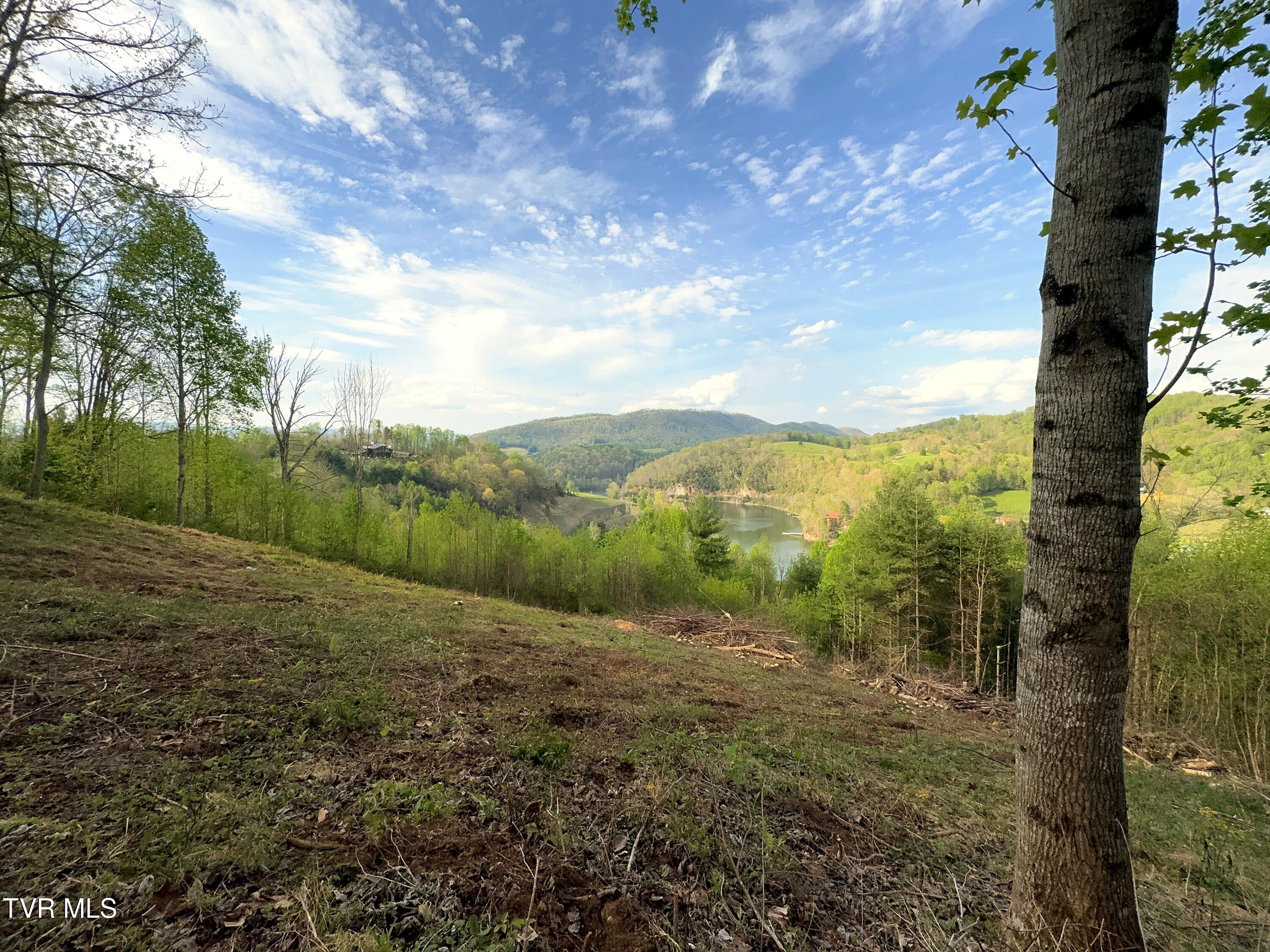 Lot 60 Cowan Town Road, Unit 60 Butler, TN 37640 - Photo 11 of 20 Lot 60 (13)