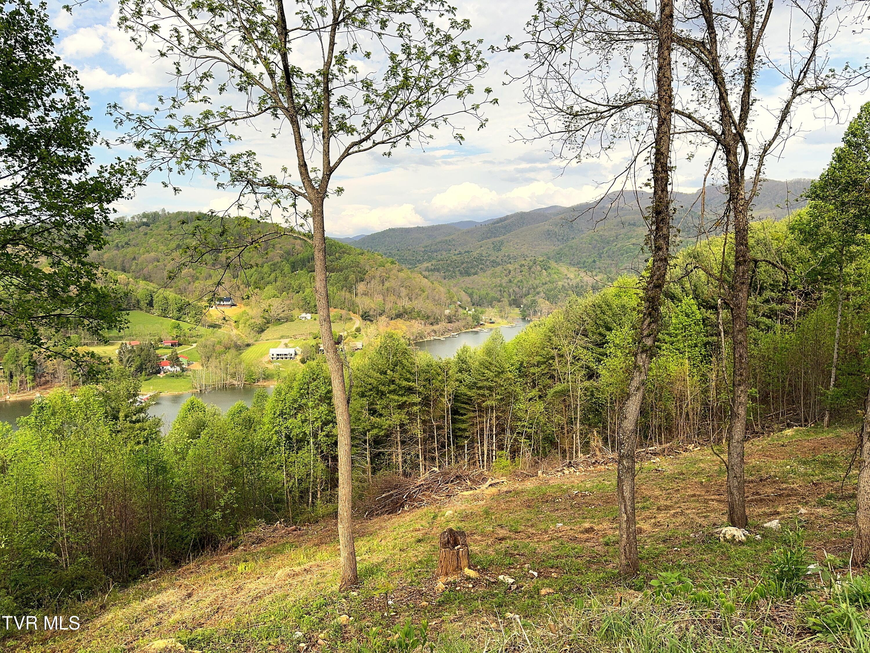 Lot 60 Cowan Town Road, Unit 60 Butler, TN 37640 - Photo 12 of 20 Lot 60 (14)