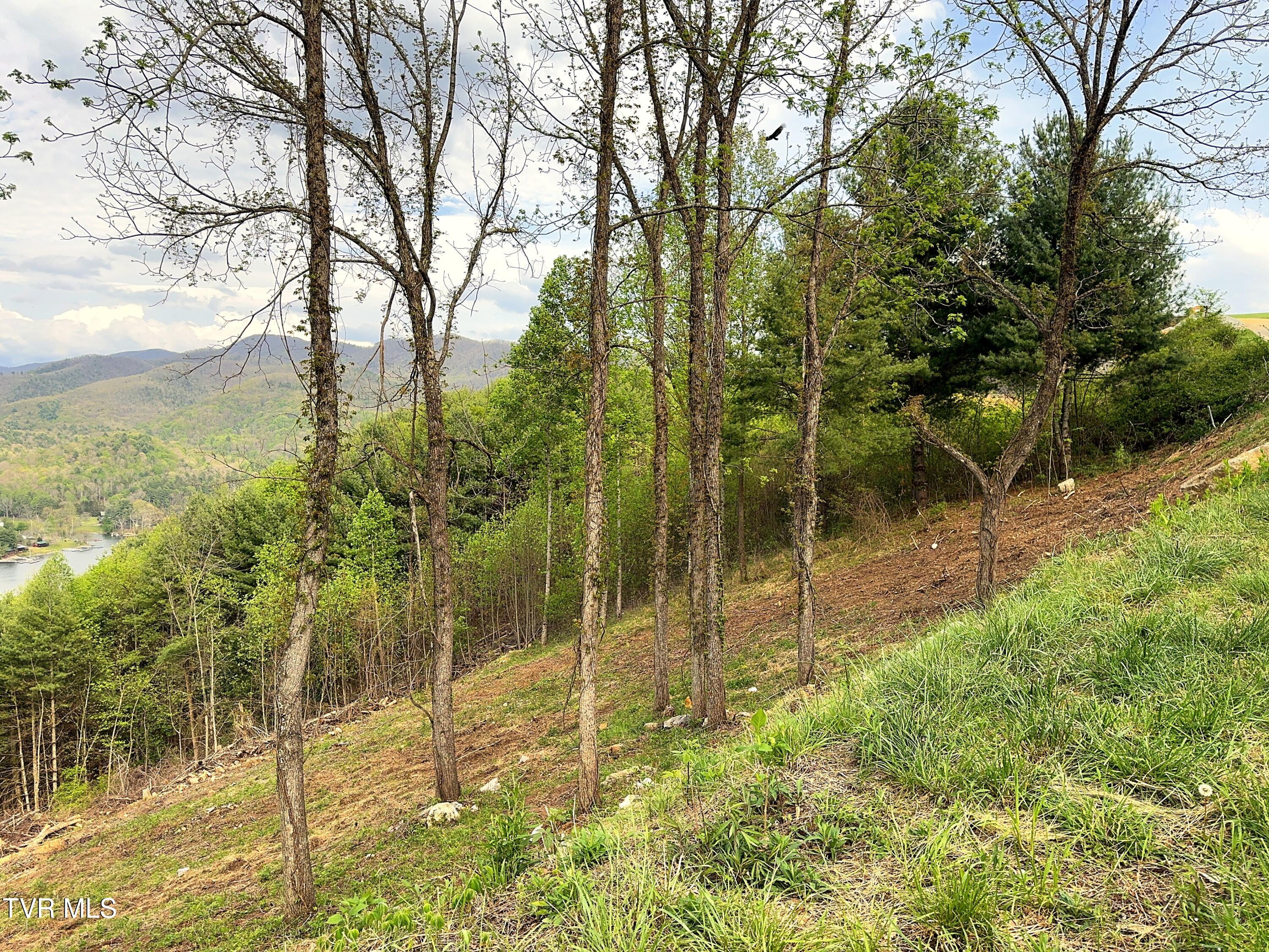 Lot 60 Cowan Town Road, Unit 60 Butler, TN 37640 - Photo 14 of 31 Lot 60 (15)
