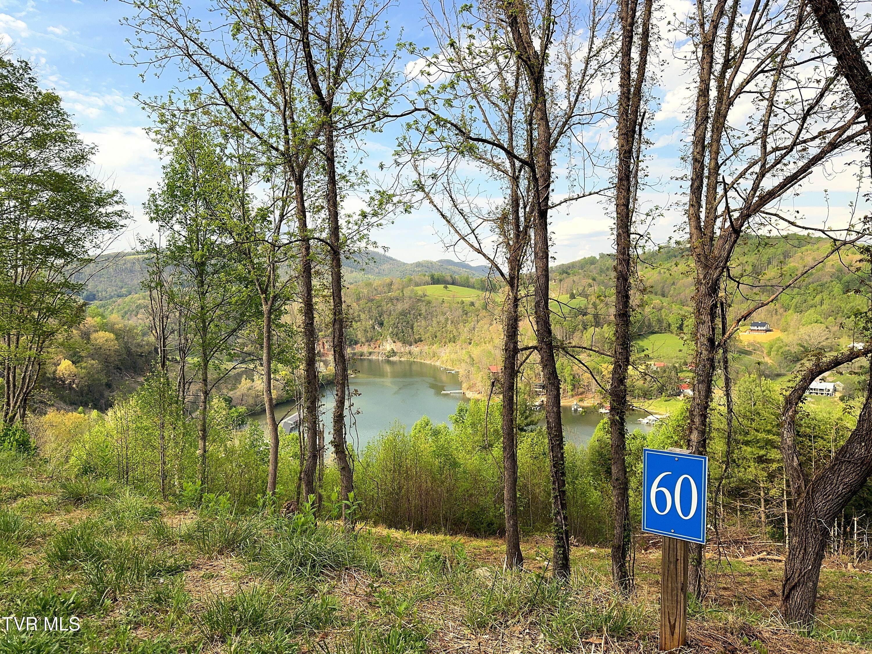 Lot 60 Cowan Town Road, Unit 60 Butler, TN 37640 - Photo 14 of 20 Lot 60 (17)