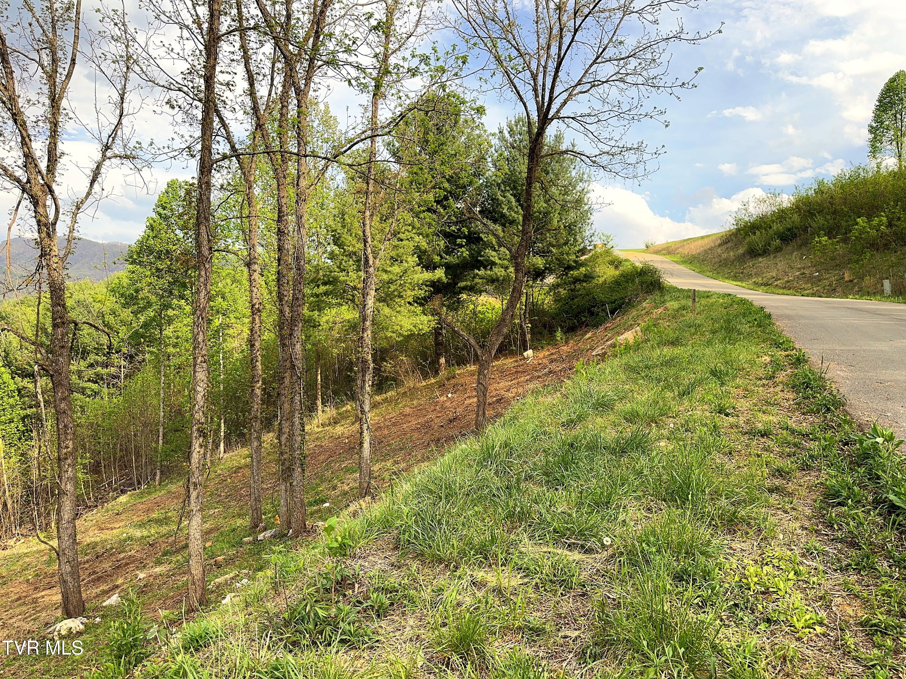 Lot 60 Cowan Town Road, Unit 60 Butler, TN 37640 - Photo 16 of 20 Lot 60 (16)