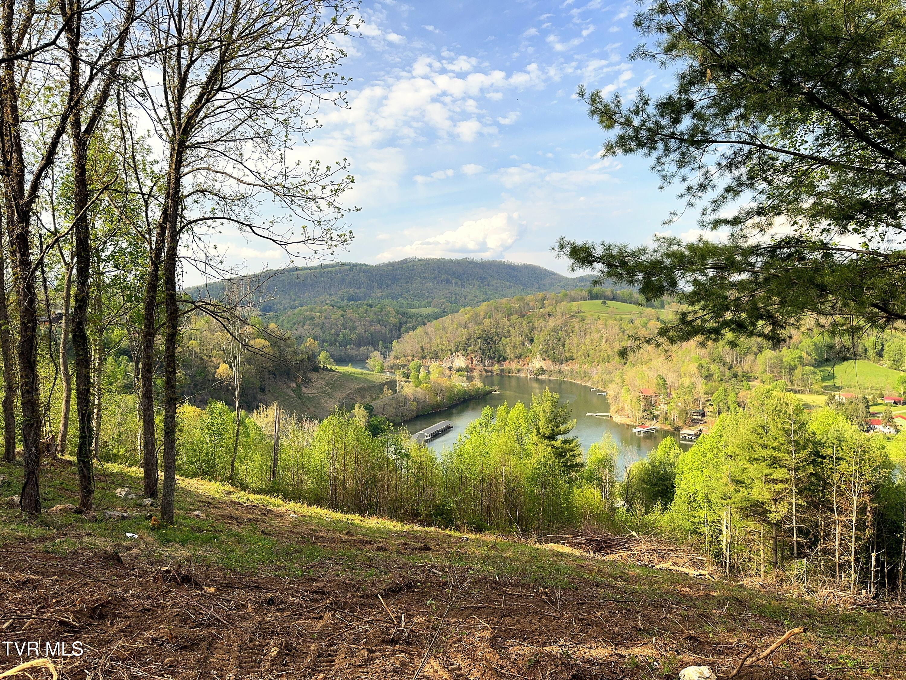 Lot 60 Cowan Town Road, Unit 60 Butler, TN 37640 - Photo 16 of 31 Lot 60 (11)