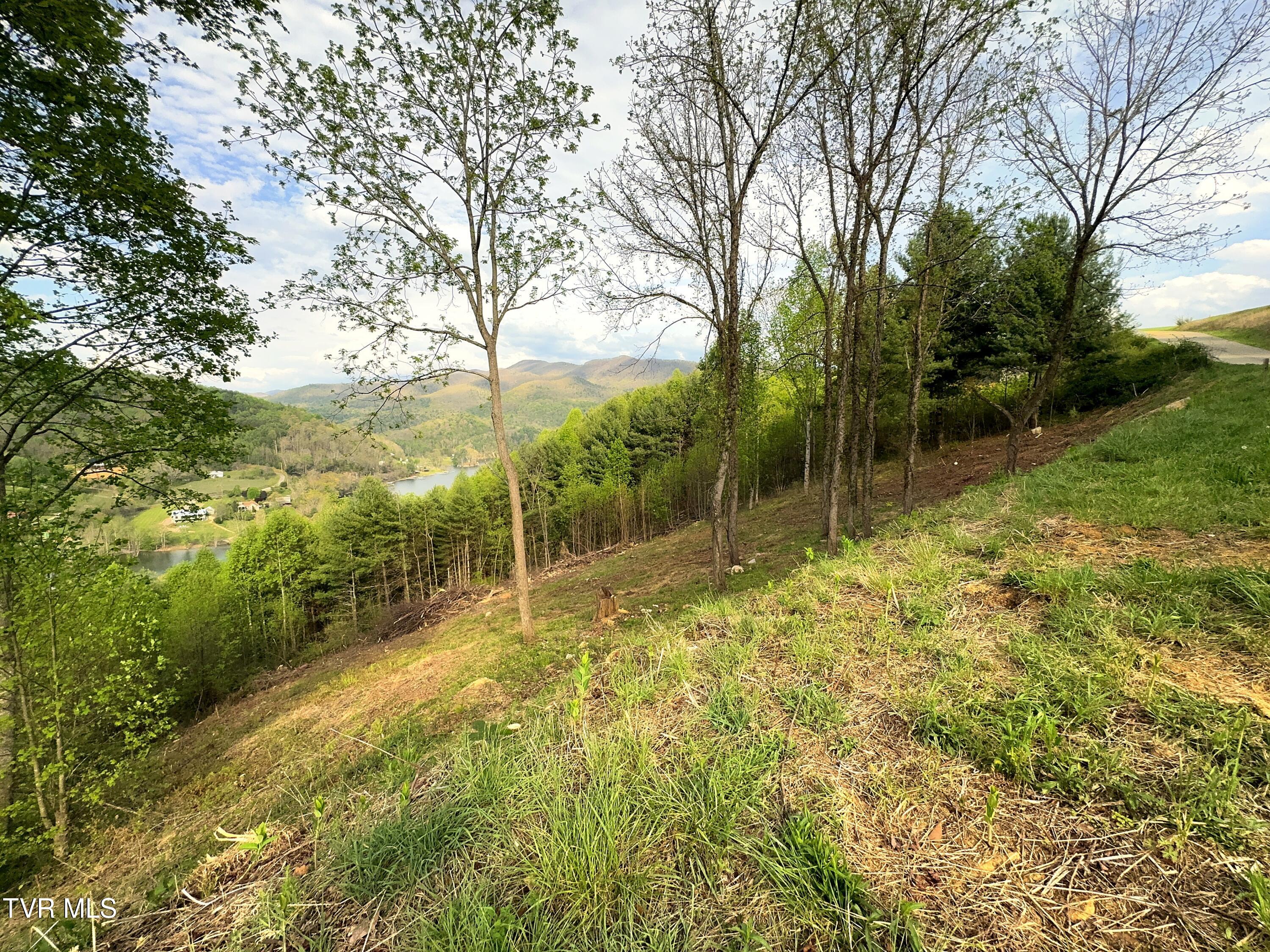 Lot 60 Cowan Town Road, Unit 60 Butler, TN 37640 - Photo 18 of 20 Lot 60 (7)