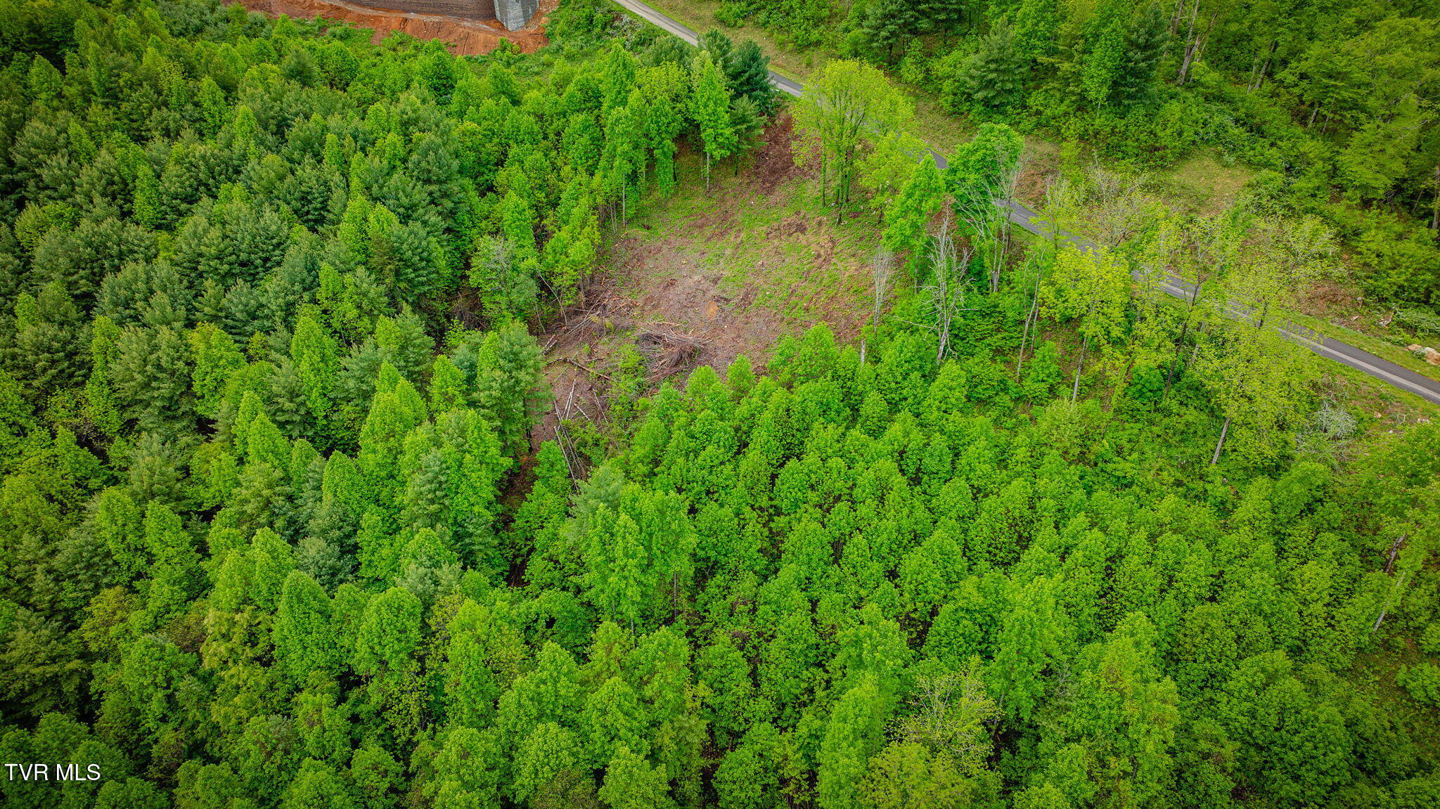 Lot 60 Cowan Town Road, Unit 60 Butler, TN 37640 - Photo 23 of 31 103