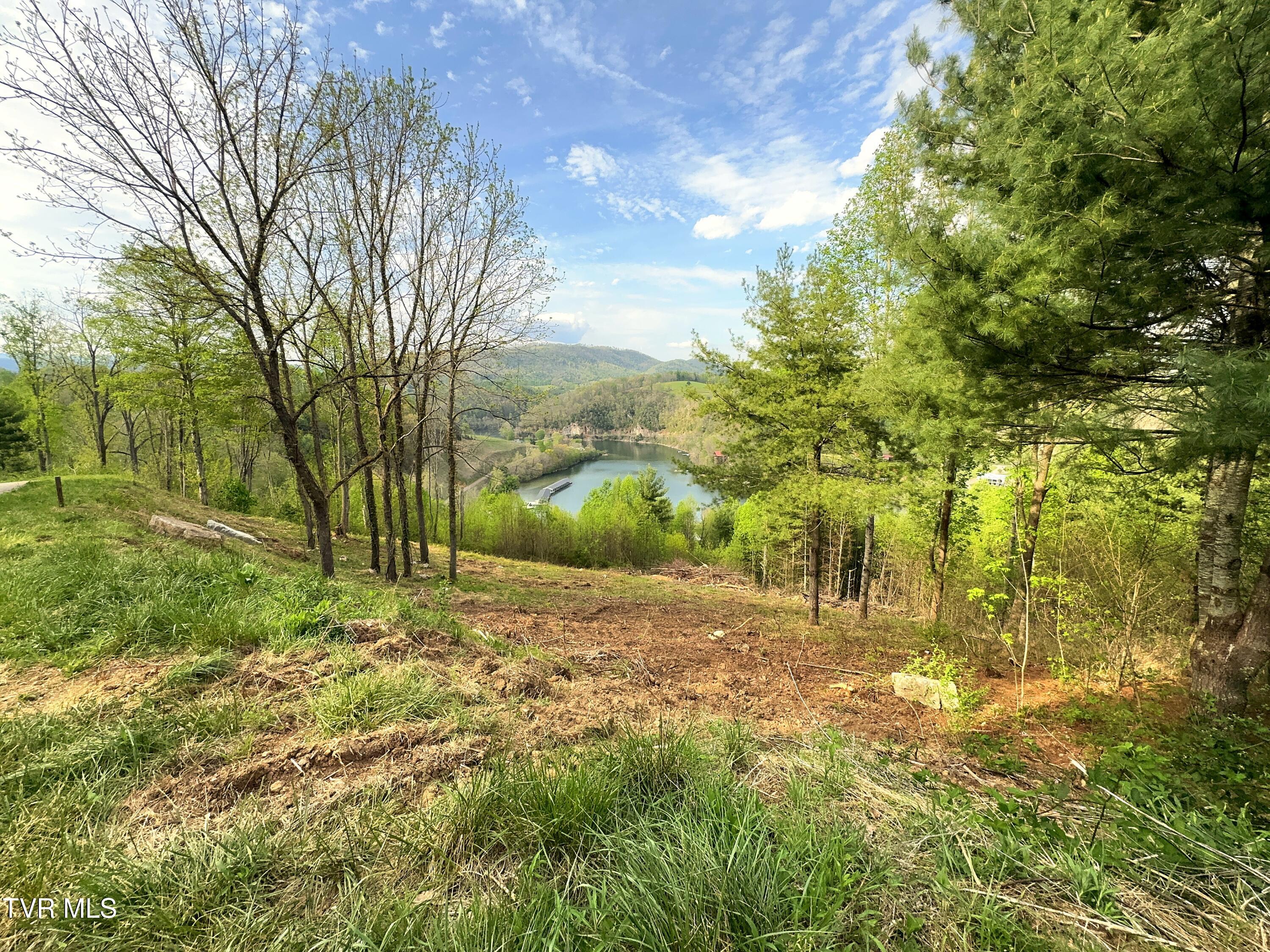 Lot 60 Cowan Town Road, Unit 60 Butler, TN 37640 - Photo 3 of 20 Lot 60 (4)