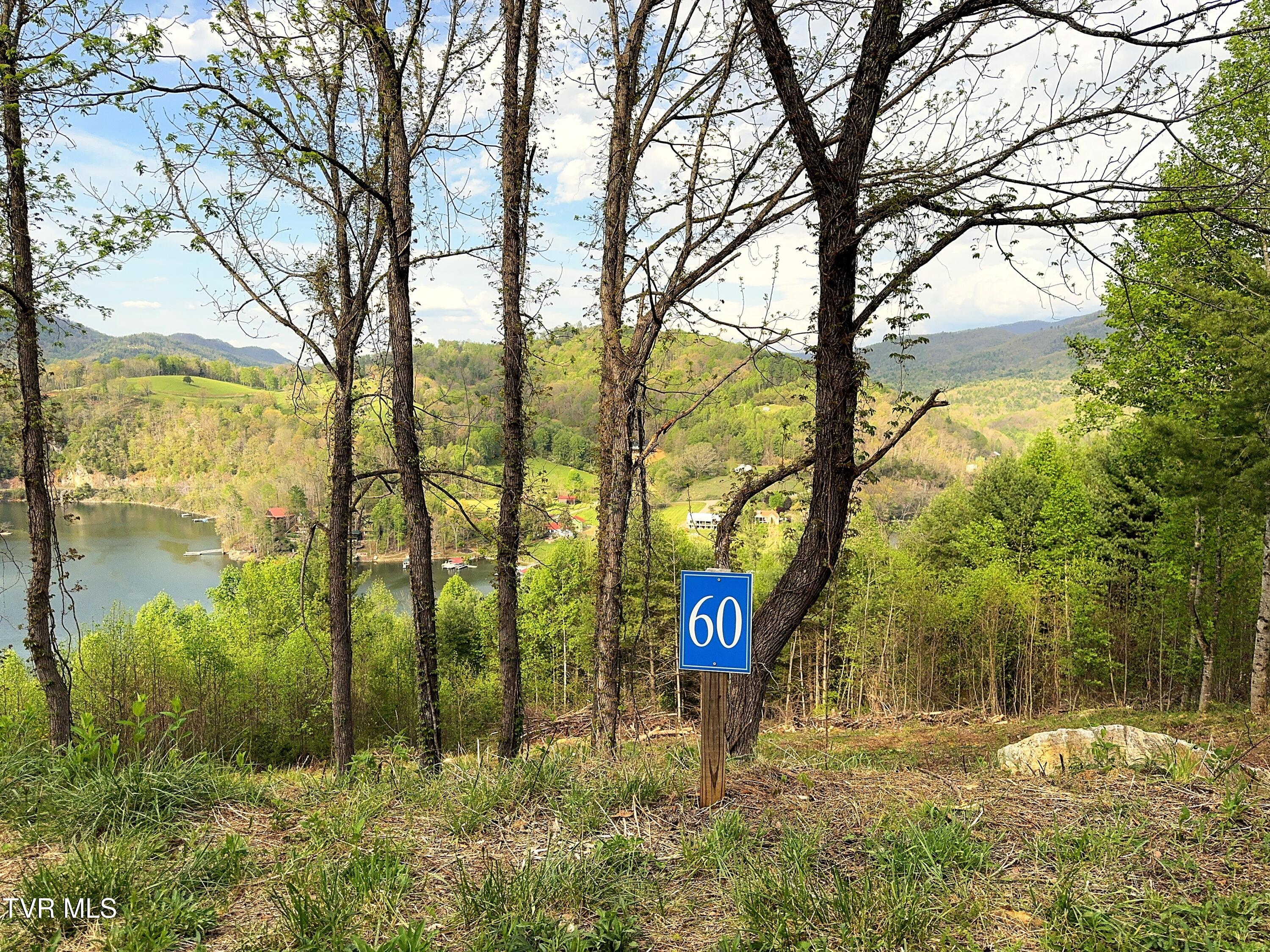 Lot 60 Cowan Town Road, Unit 60 Butler, TN 37640 - Photo 4 of 20 Lot 60 (18)