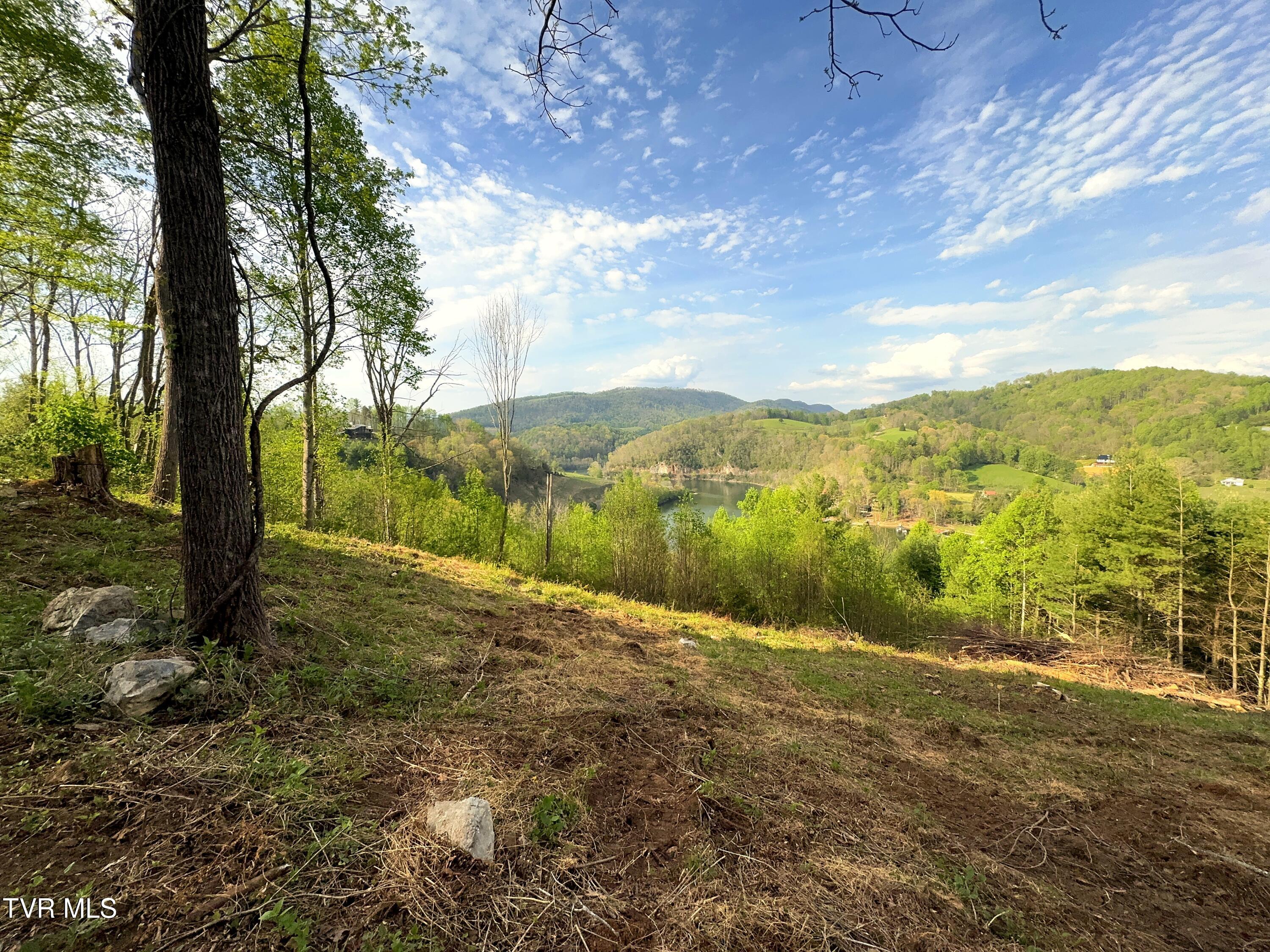 Lot 60 Cowan Town Road, Unit 60 Butler, TN 37640 - Photo 7 of 31 Lot 60 (9)
