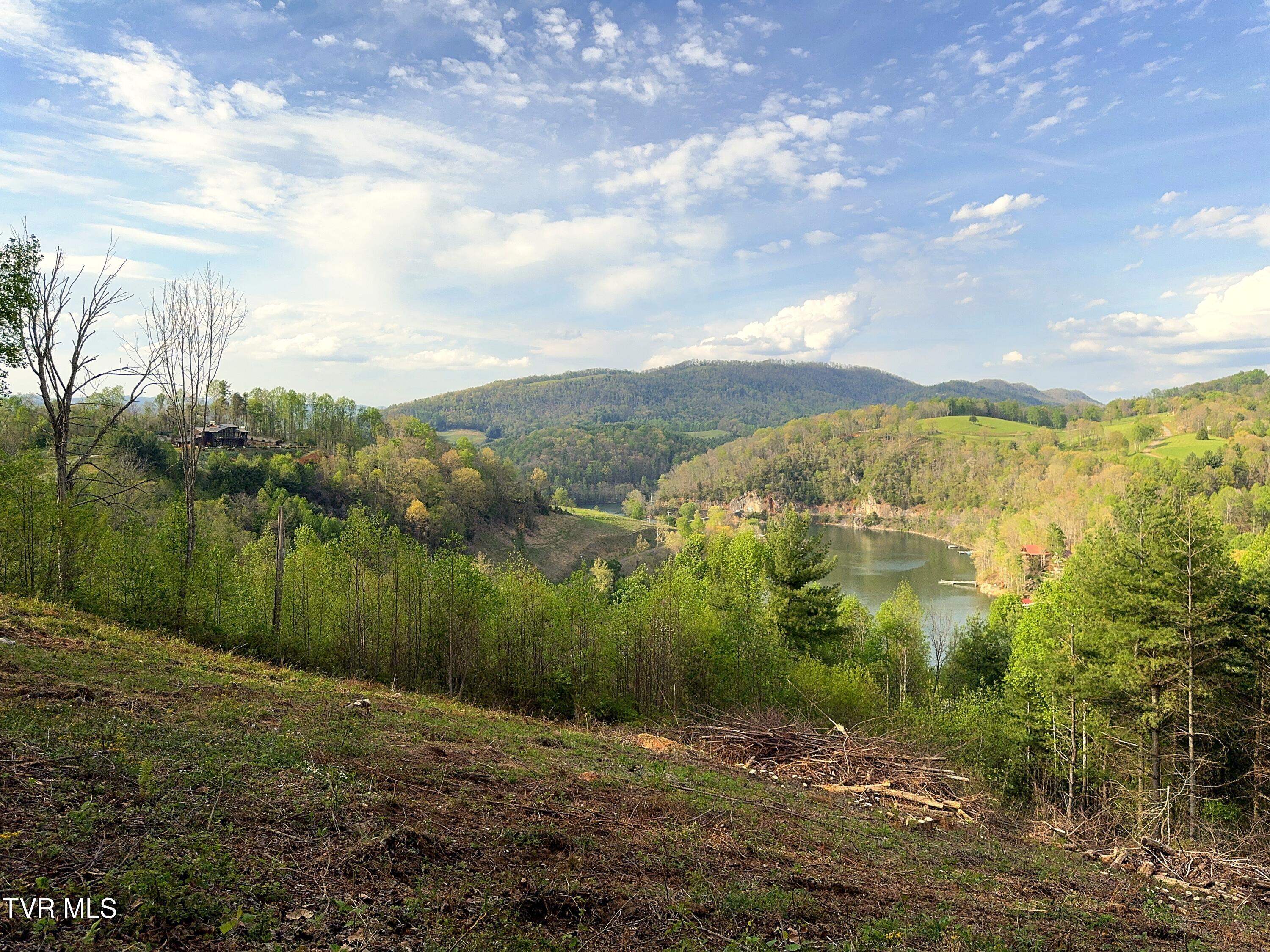 Lot 60 Cowan Town Road, Unit 60 Butler, TN 37640 - Photo 8 of 20 Lot 60 (12)