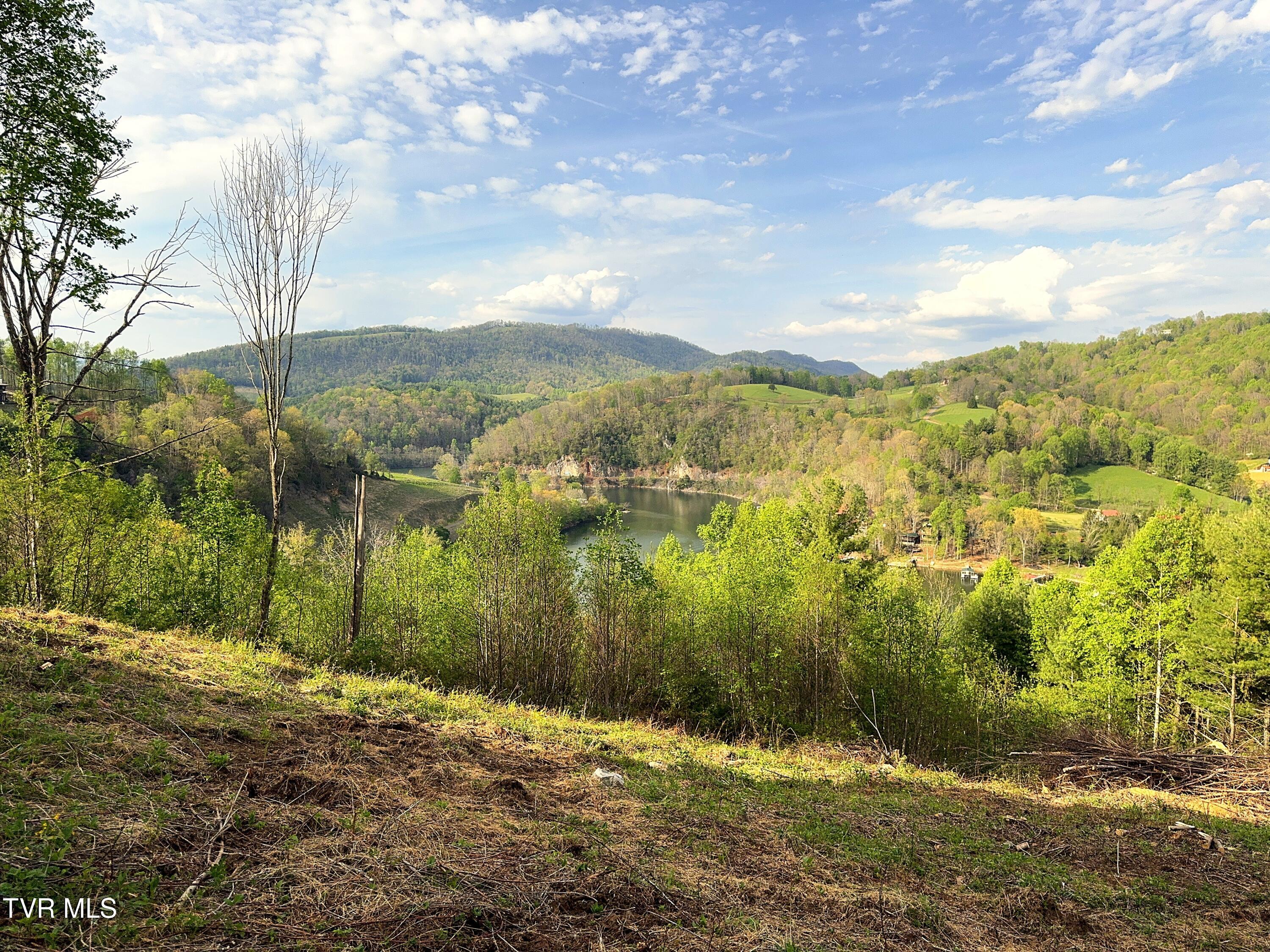 Lot 60 Cowan Town Road, Unit 60 Butler, TN 37640 - Photo 8 of 31 Lot 60 (8)