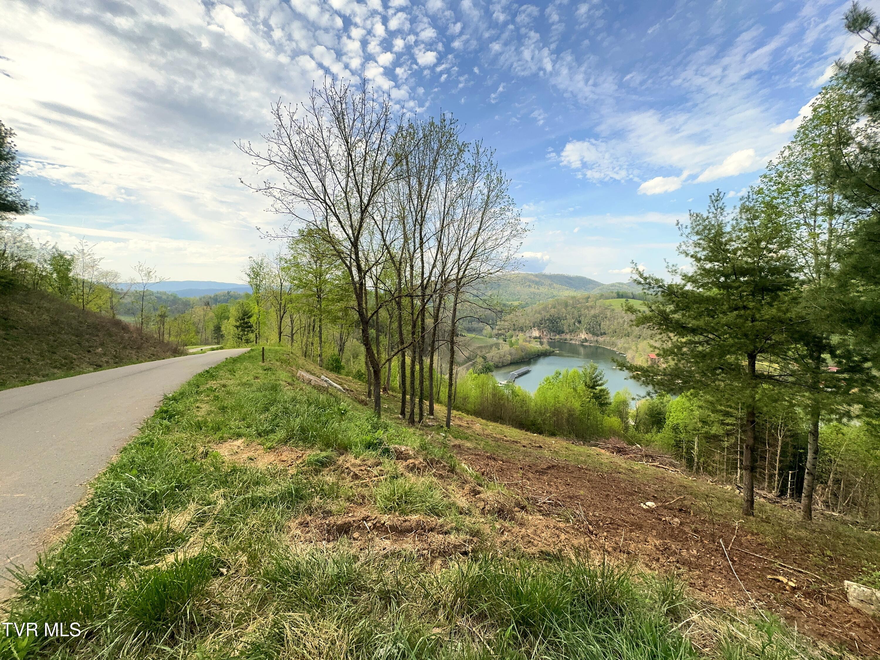 Lot 60 Cowan Town Road, Unit 60 Butler, TN 37640 - Photo 10 of 20 Lot 60 (5)