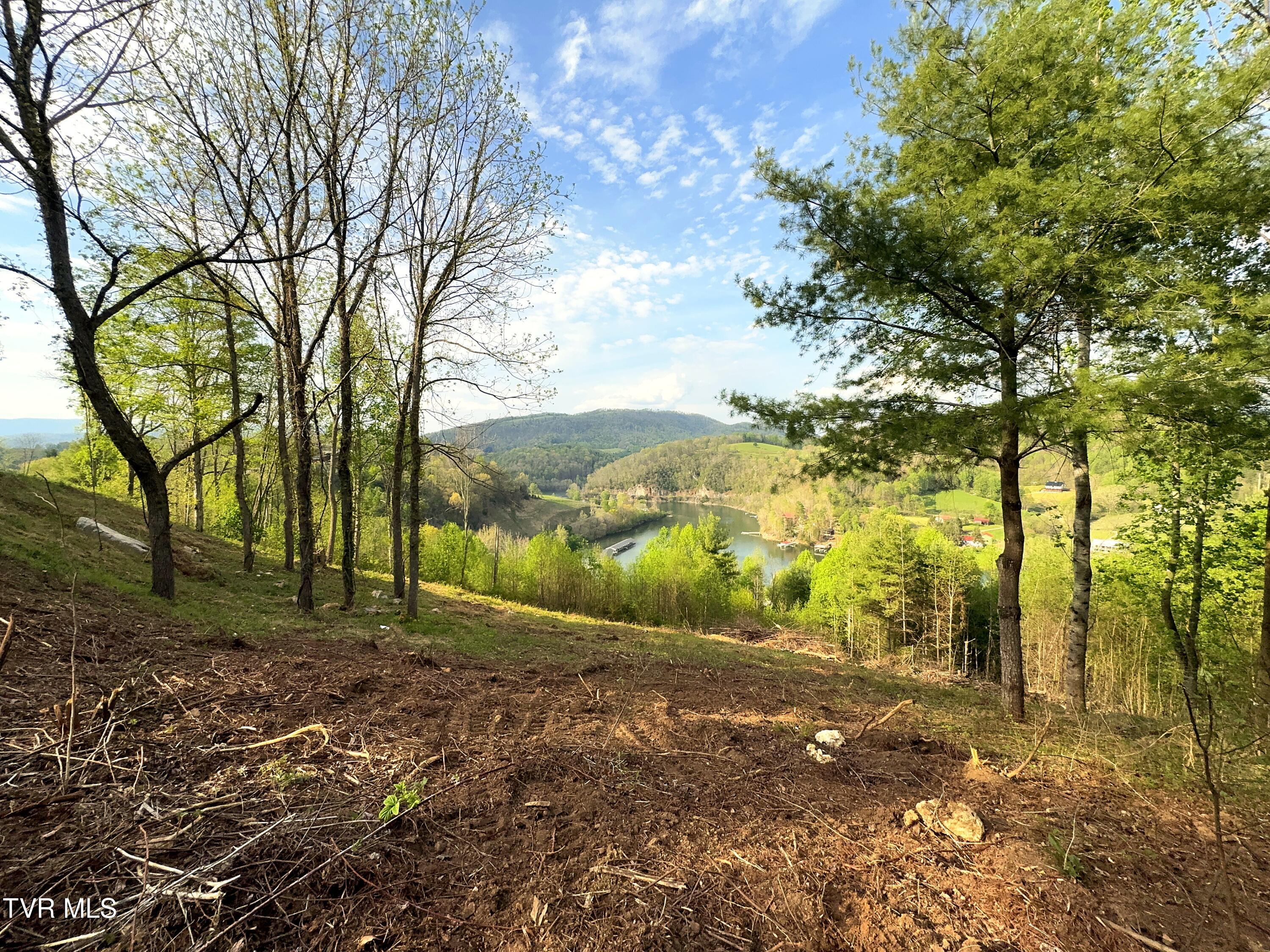 Lot 60 Cowan Town Road, Unit 60 Butler, TN 37640 - Photo 10 of 31 Lot 60 (10)