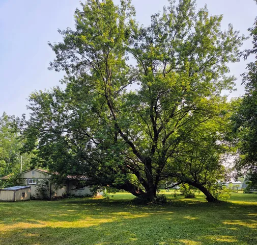 $79,000 | 10587 Town Road 34, Mizpah, MN 56660