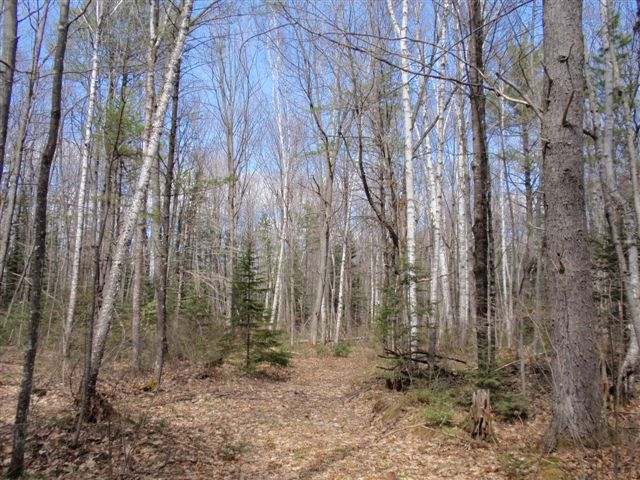 9 Francisco Road, Unit LOT Eagle River, WI 54521 - Photo 3 of 19 Gallery Image 3