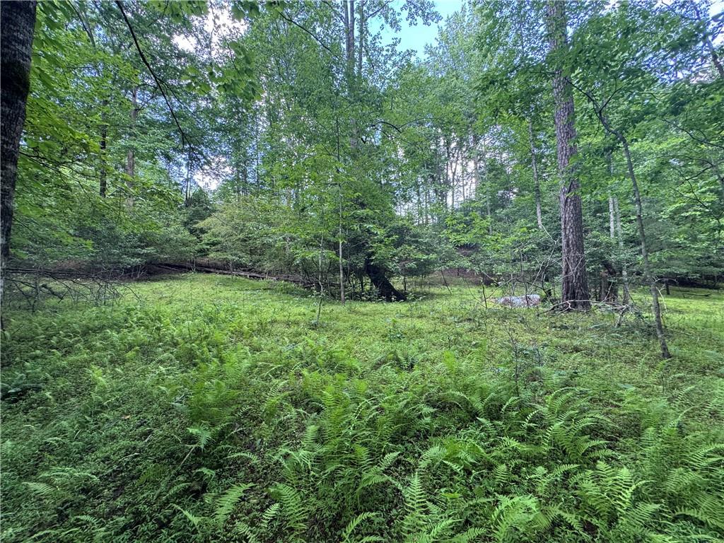 3.5-ac Ben Higgins Road Dahlonega, GA 30533 - Photo 6 of 21