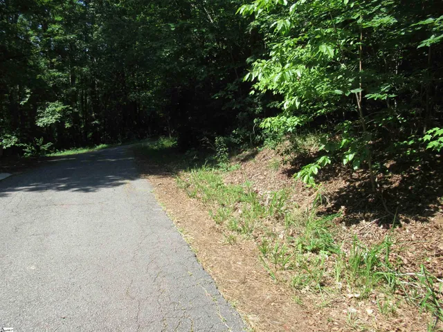 $25,000 | 0 Gauley Falls Road, Unit LOT 15 GAULEY FALLS, Pickens, SC 29671