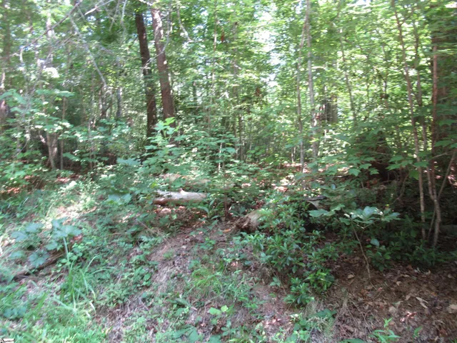 $25,000 | 0 Gauley Falls Road, Unit LOT 15 GAULEY FALLS, Pickens, SC 29671