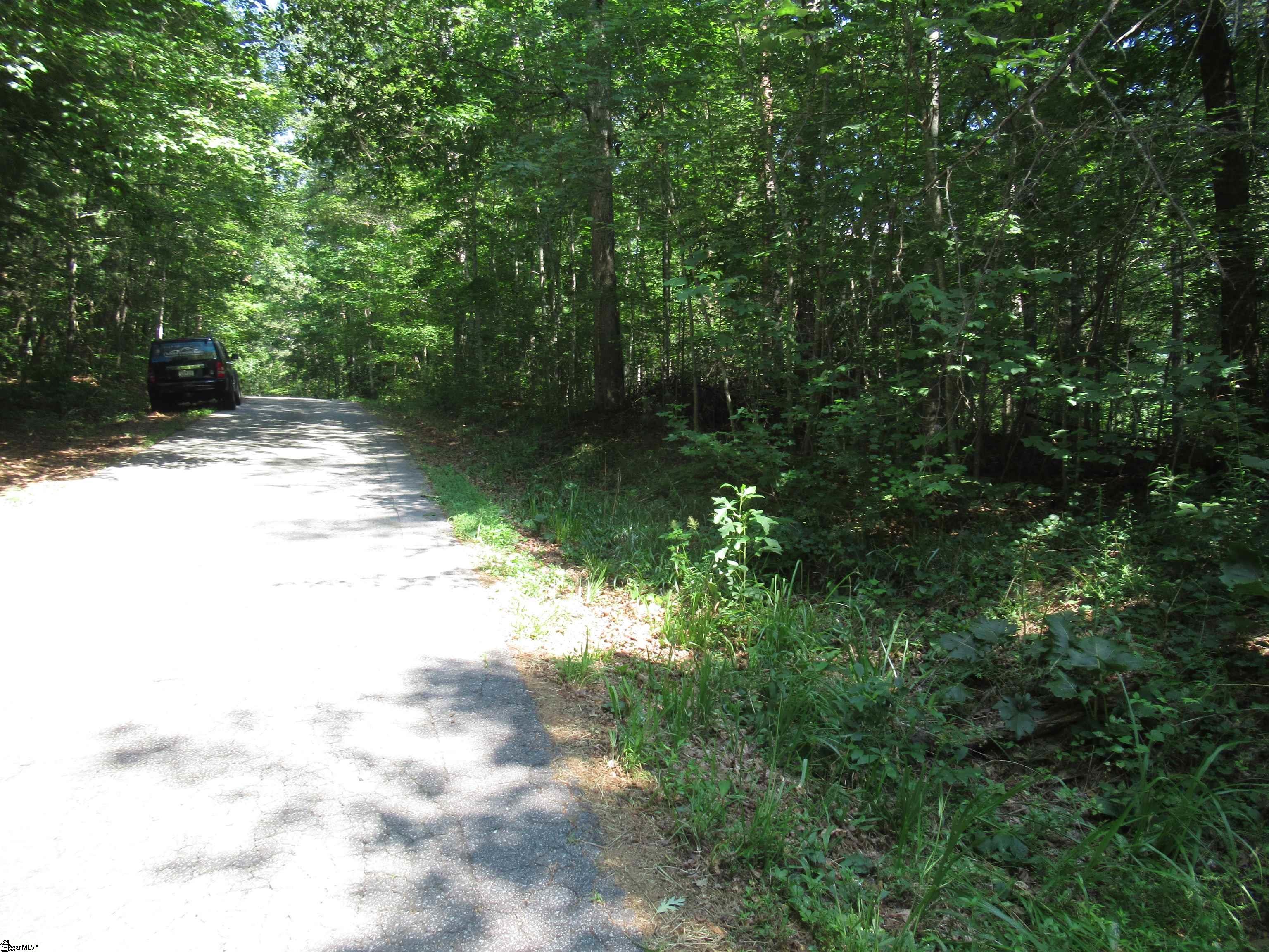 0 Gauley Falls Road, Unit LOT 15 GAULEY FALLS Pickens, SC 29671 - Photo 13 of 36