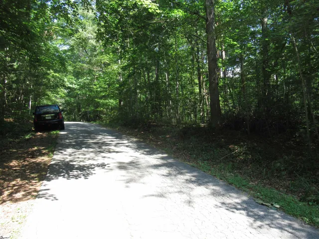 $25,000 | 0 Gauley Falls Road, Unit LOT 15 GAULEY FALLS, Pickens, SC 29671