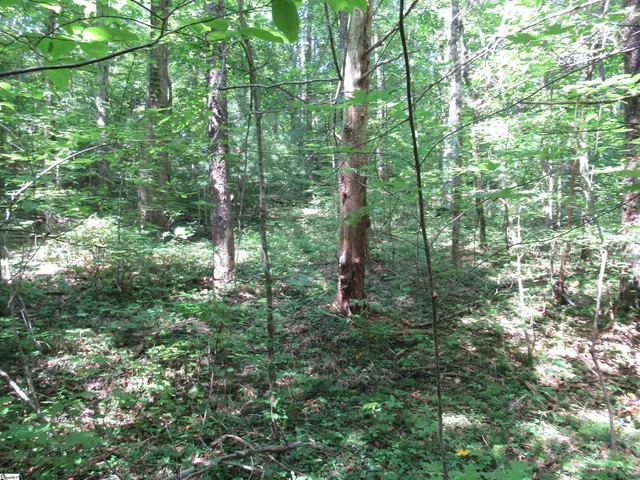 $25,000 | 0 Gauley Falls Road, Unit LOT 15 GAULEY FALLS, Pickens, SC 29671