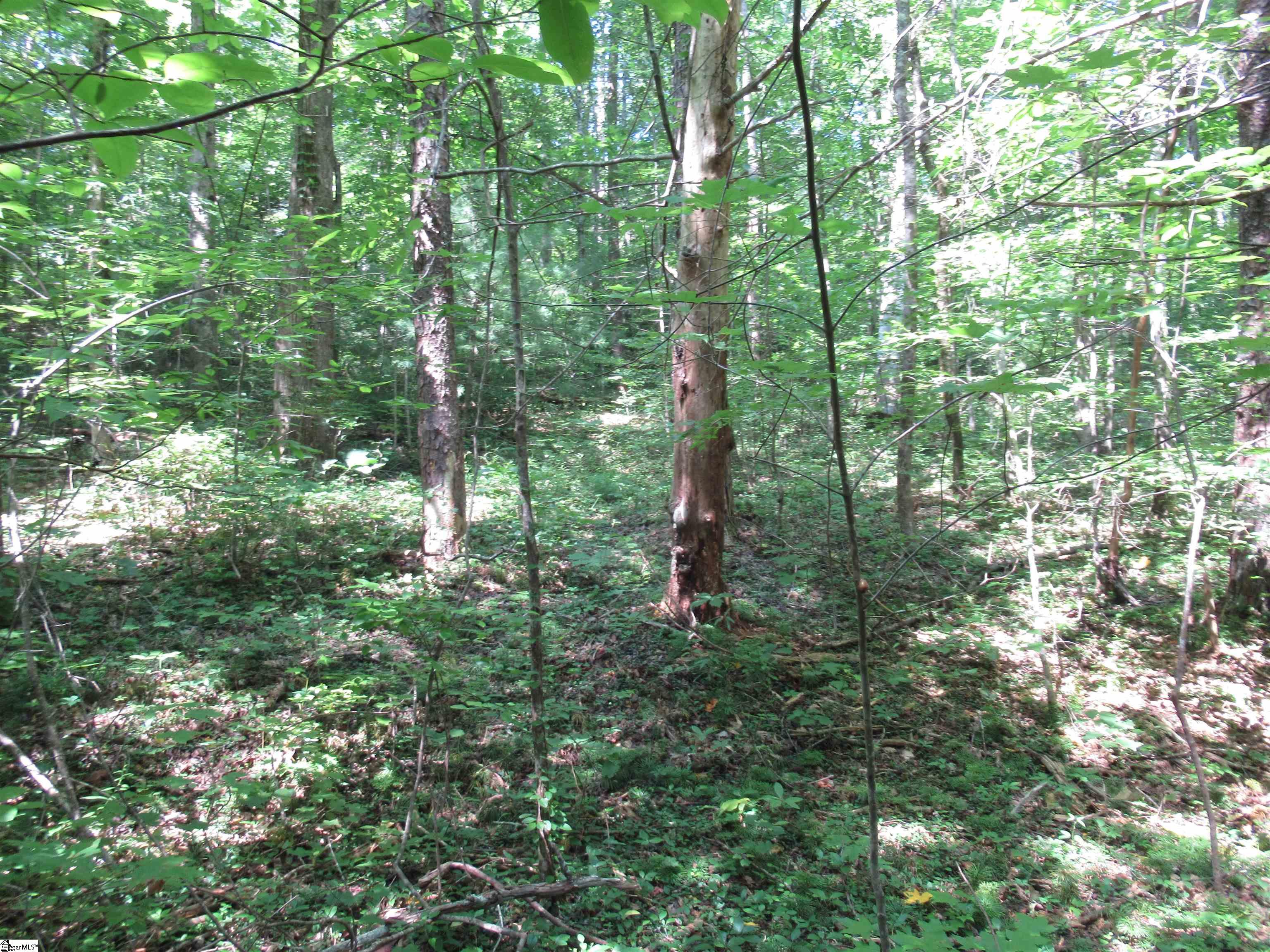 0 Gauley Falls Road, Unit LOT 15 GAULEY FALLS Pickens, SC 29671 - Photo 15 of 36