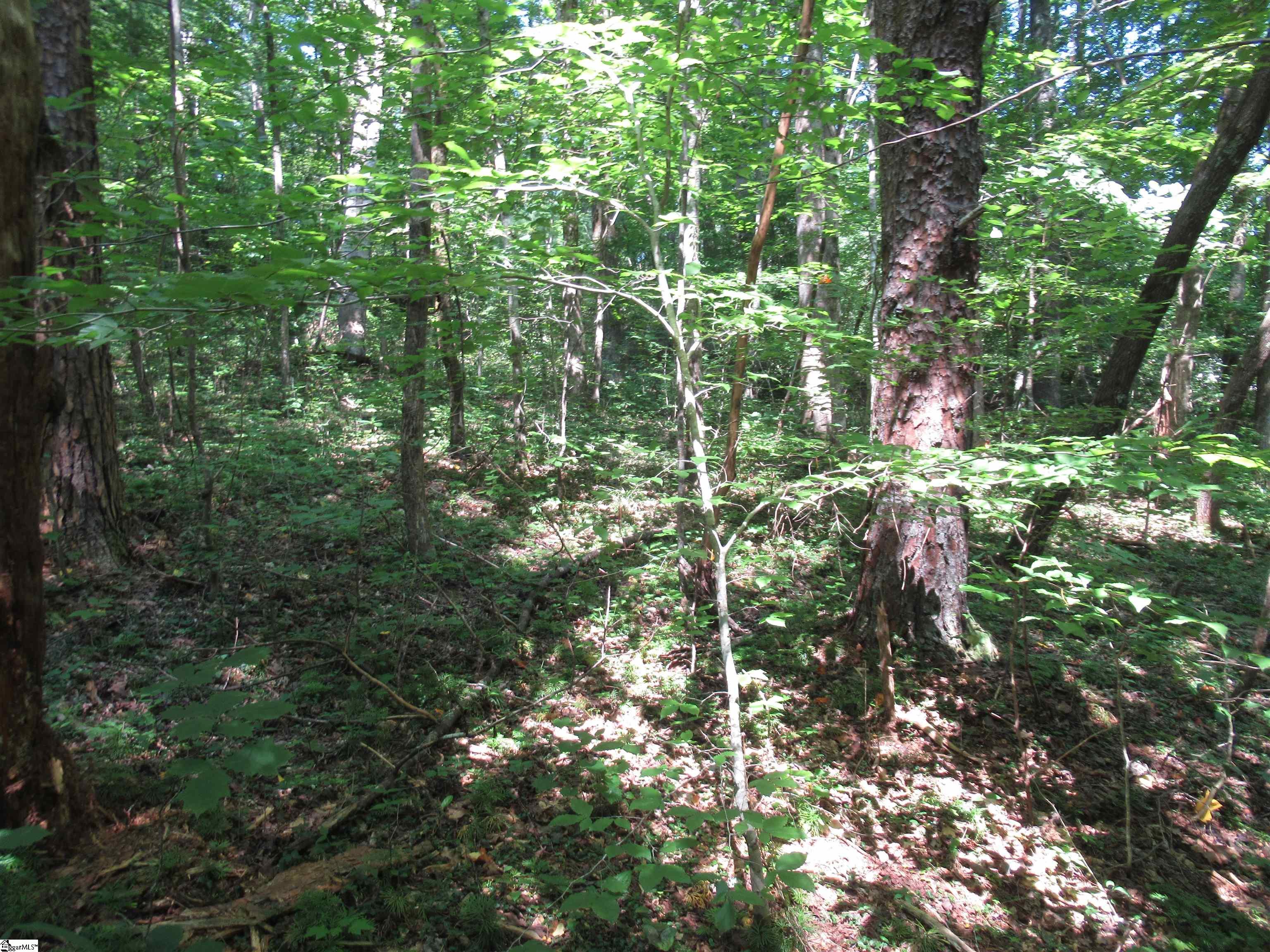 0 Gauley Falls Road, Unit LOT 15 GAULEY FALLS Pickens, SC 29671 - Photo 16 of 36