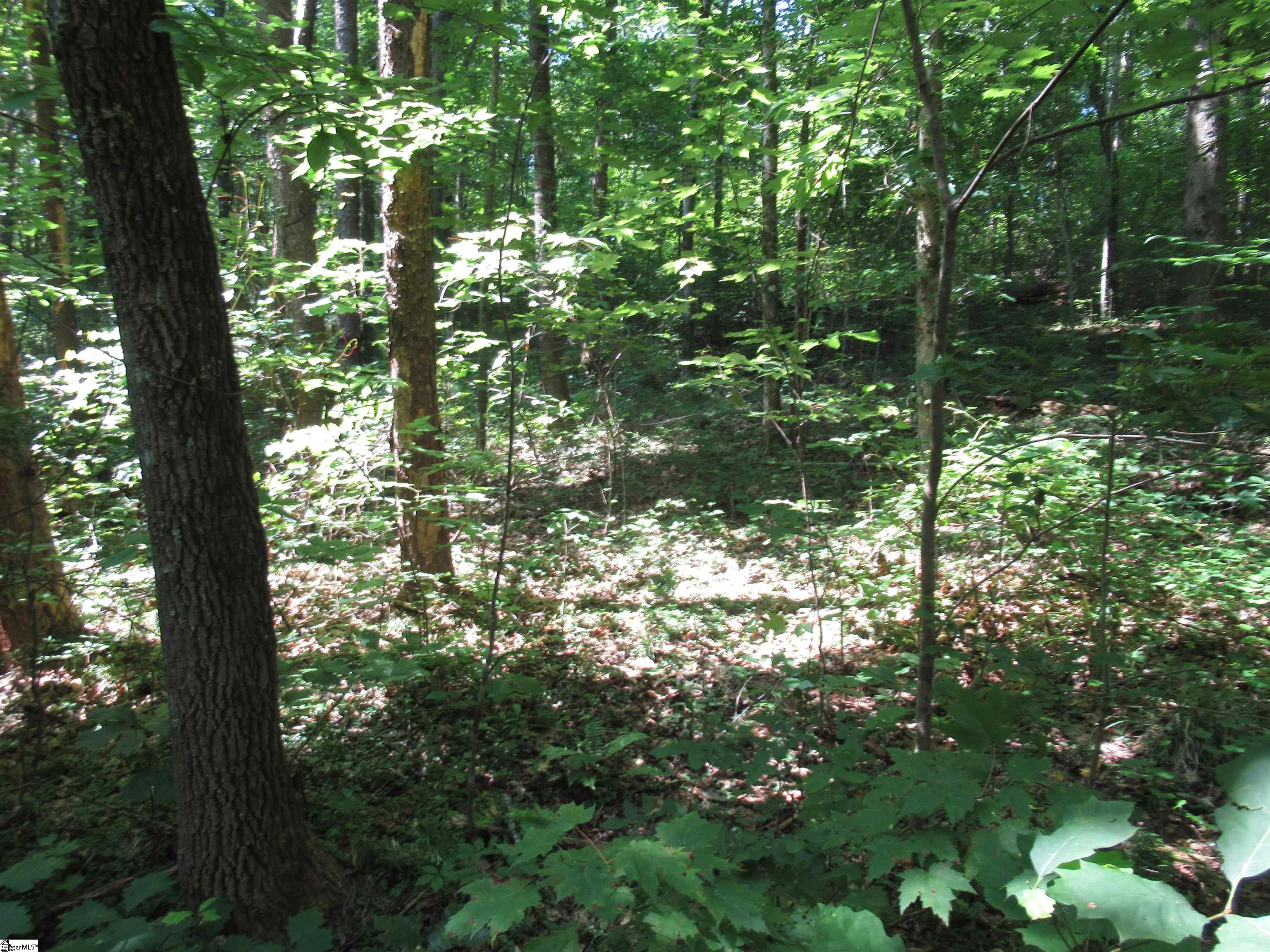 0 Gauley Falls Road, Unit LOT 15 GAULEY FALLS Pickens, SC 29671 - Photo 17 of 36