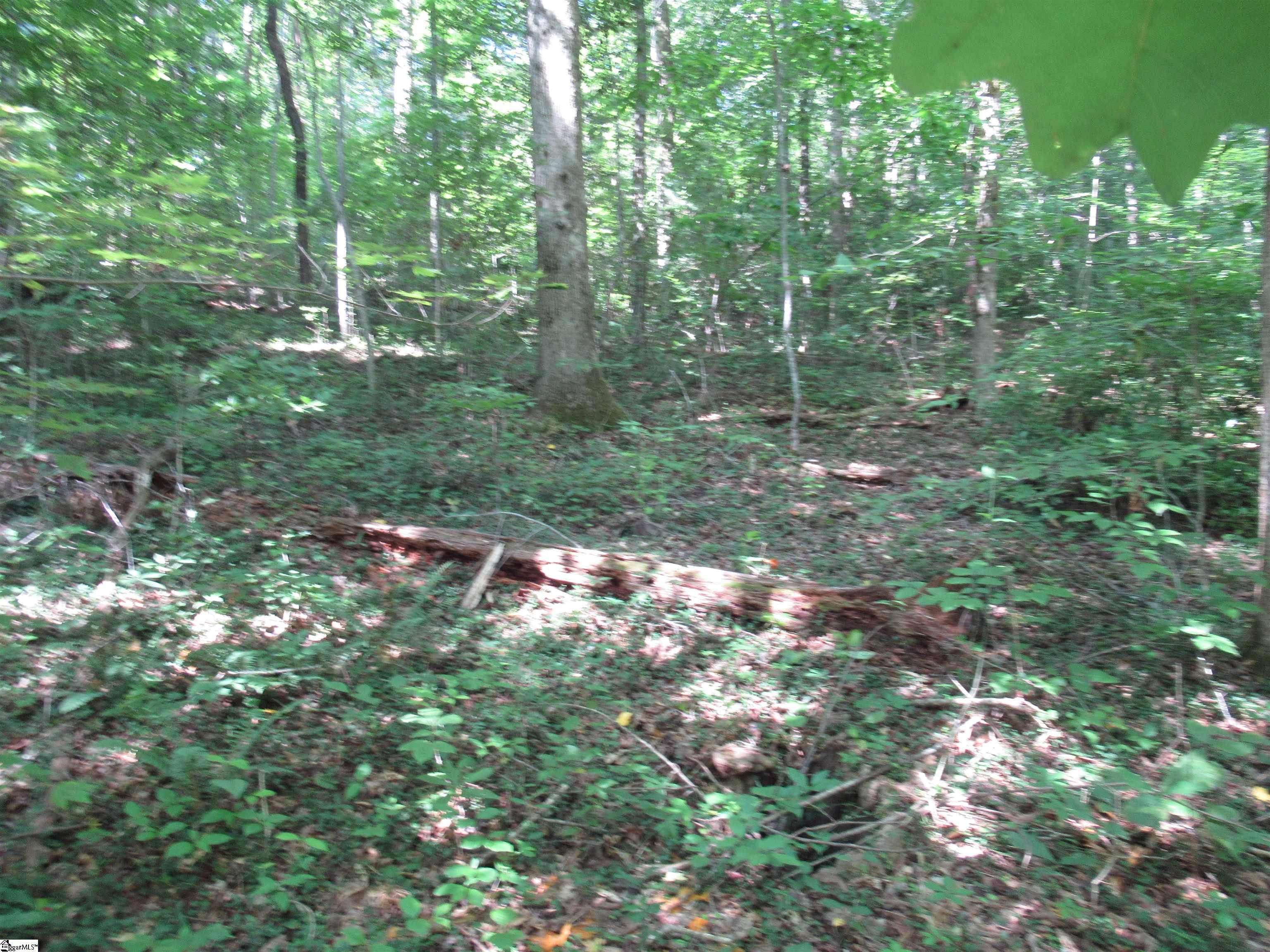 0 Gauley Falls Road, Unit LOT 15 GAULEY FALLS Pickens, SC 29671 - Photo 18 of 36