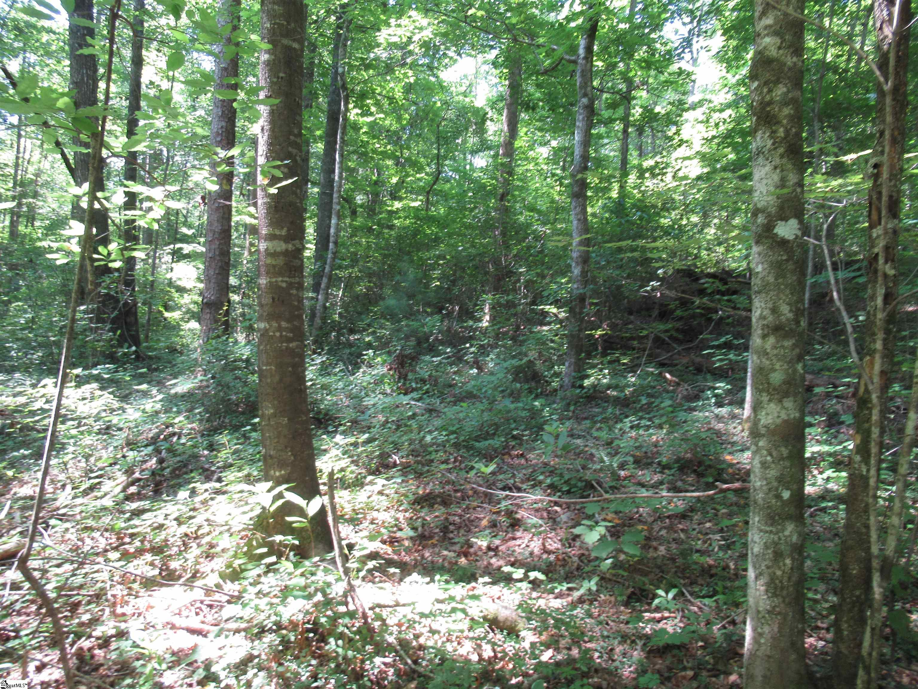 0 Gauley Falls Road, Unit LOT 15 GAULEY FALLS Pickens, SC 29671 - Photo 19 of 36