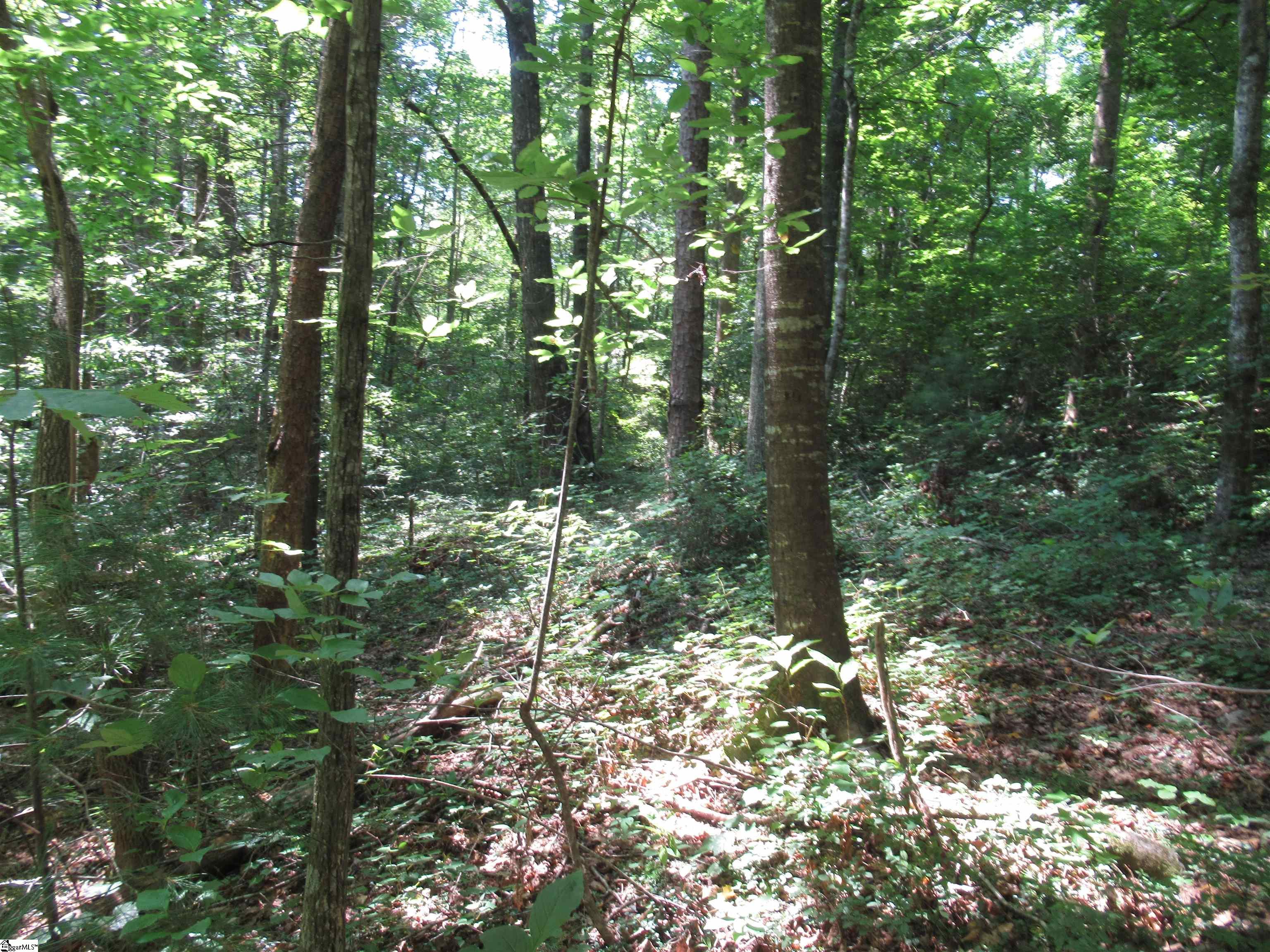 0 Gauley Falls Road, Unit LOT 15 GAULEY FALLS Pickens, SC 29671 - Photo 20 of 36