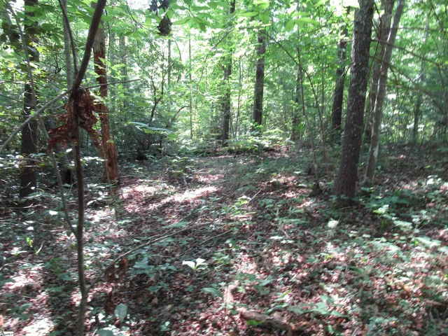 $25,000 | 0 Gauley Falls Road, Unit LOT 15 GAULEY FALLS, Pickens, SC 29671